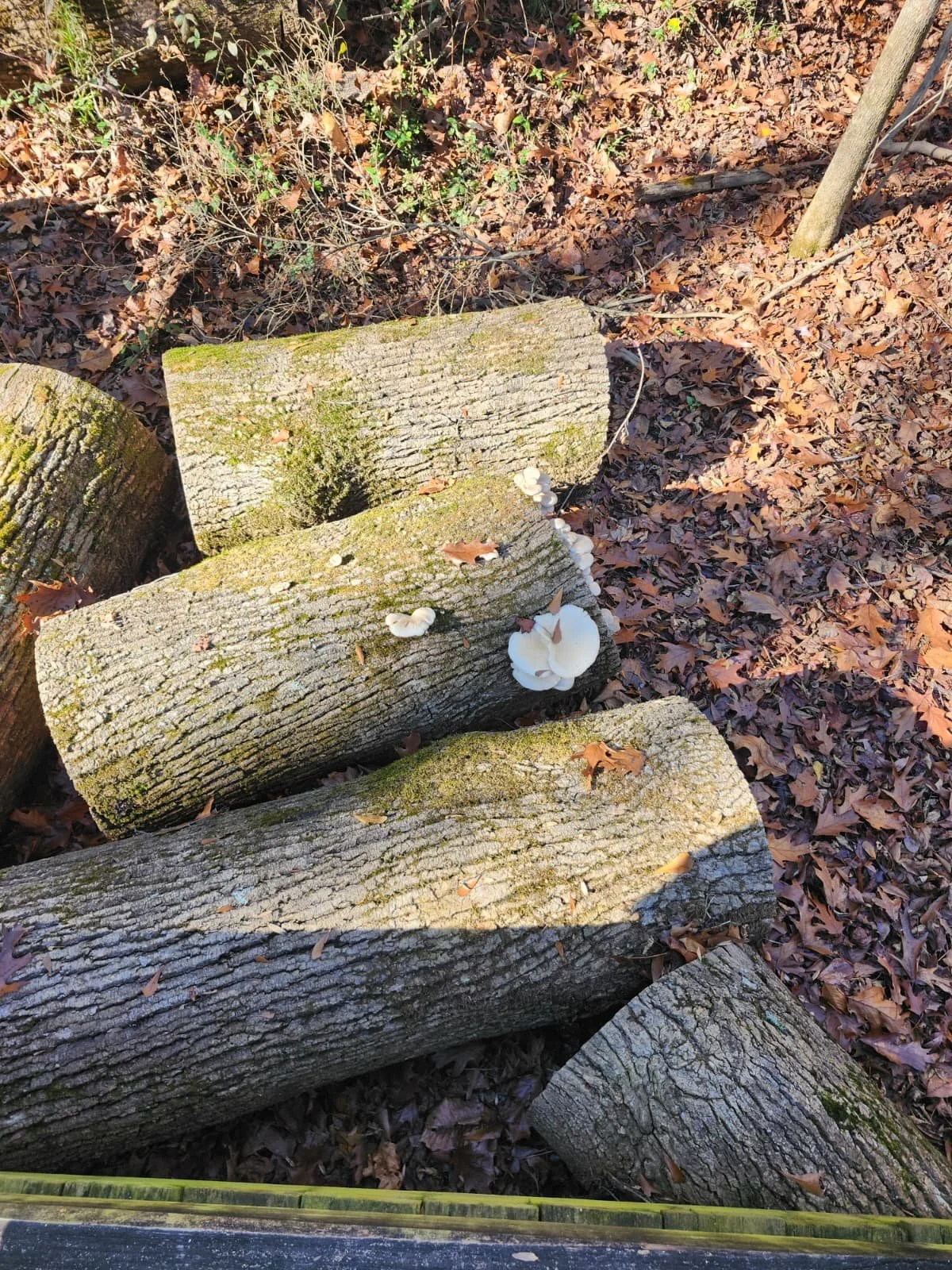 WhatsApp Image 2025-11-28 at 19.08.12 (2).jpeg