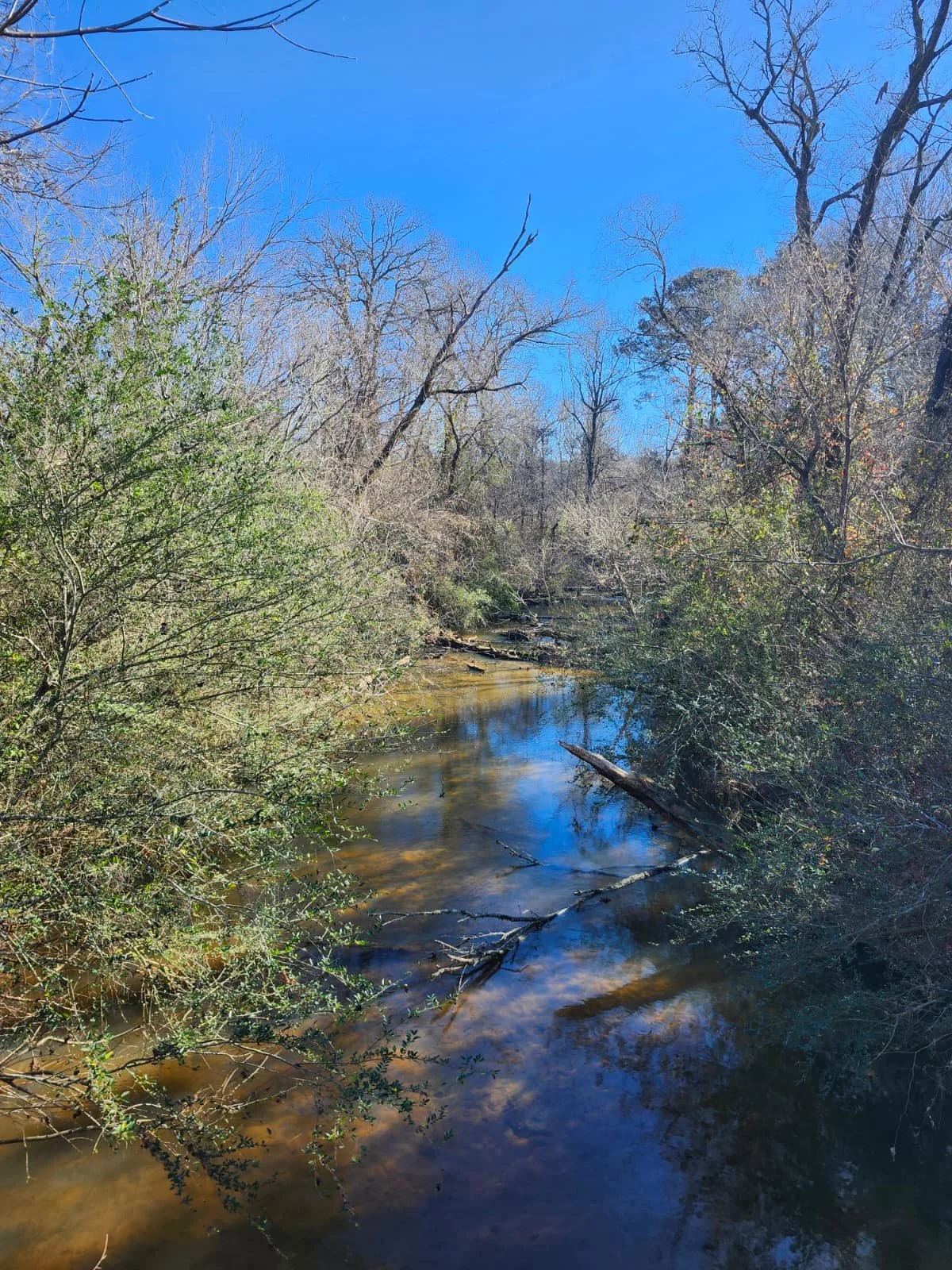 WhatsApp Image 2025-11-28 at 19.09.29 (1).jpeg