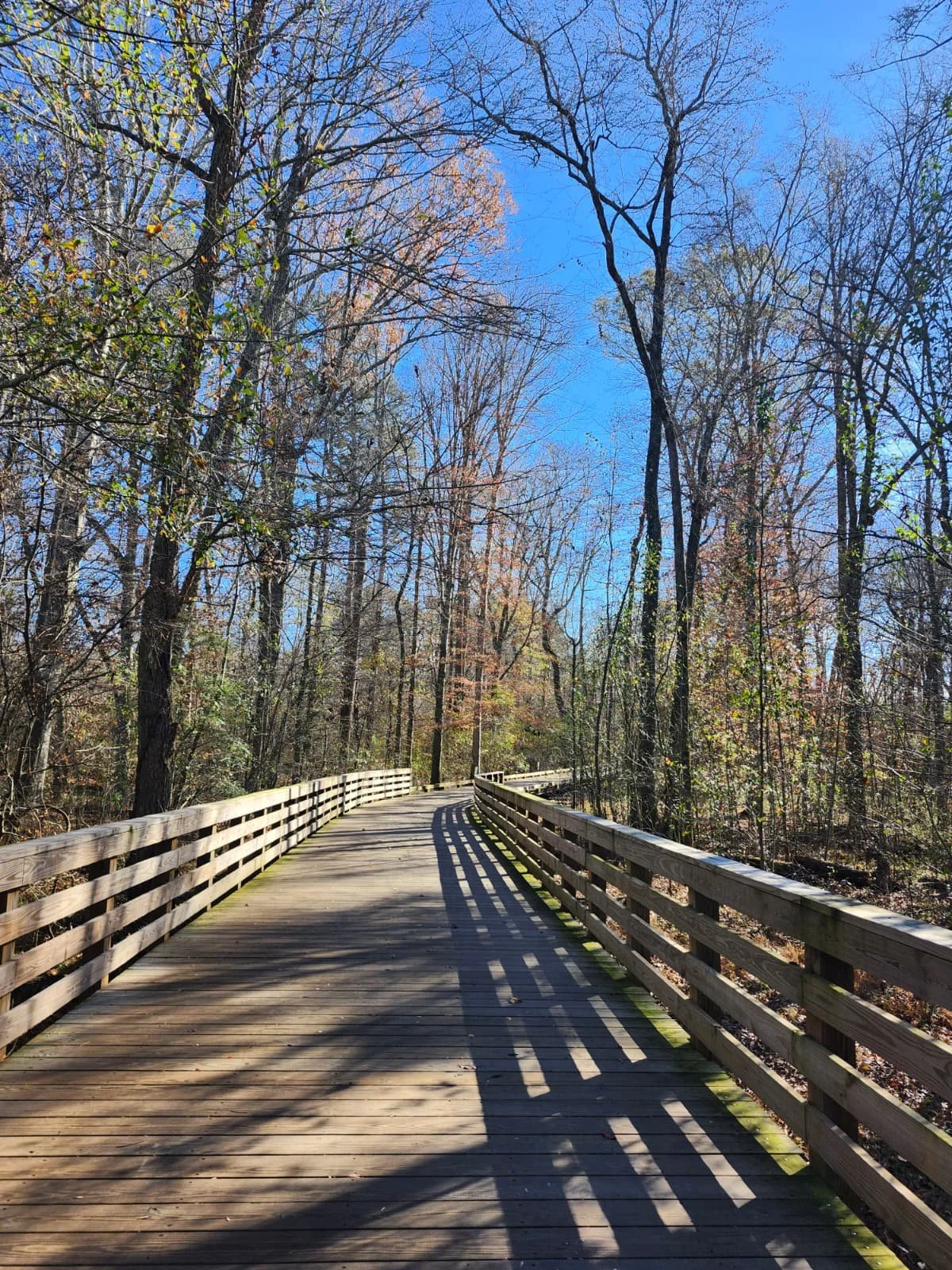 WhatsApp Image 2025-11-28 at 19.09.29 (2).jpeg