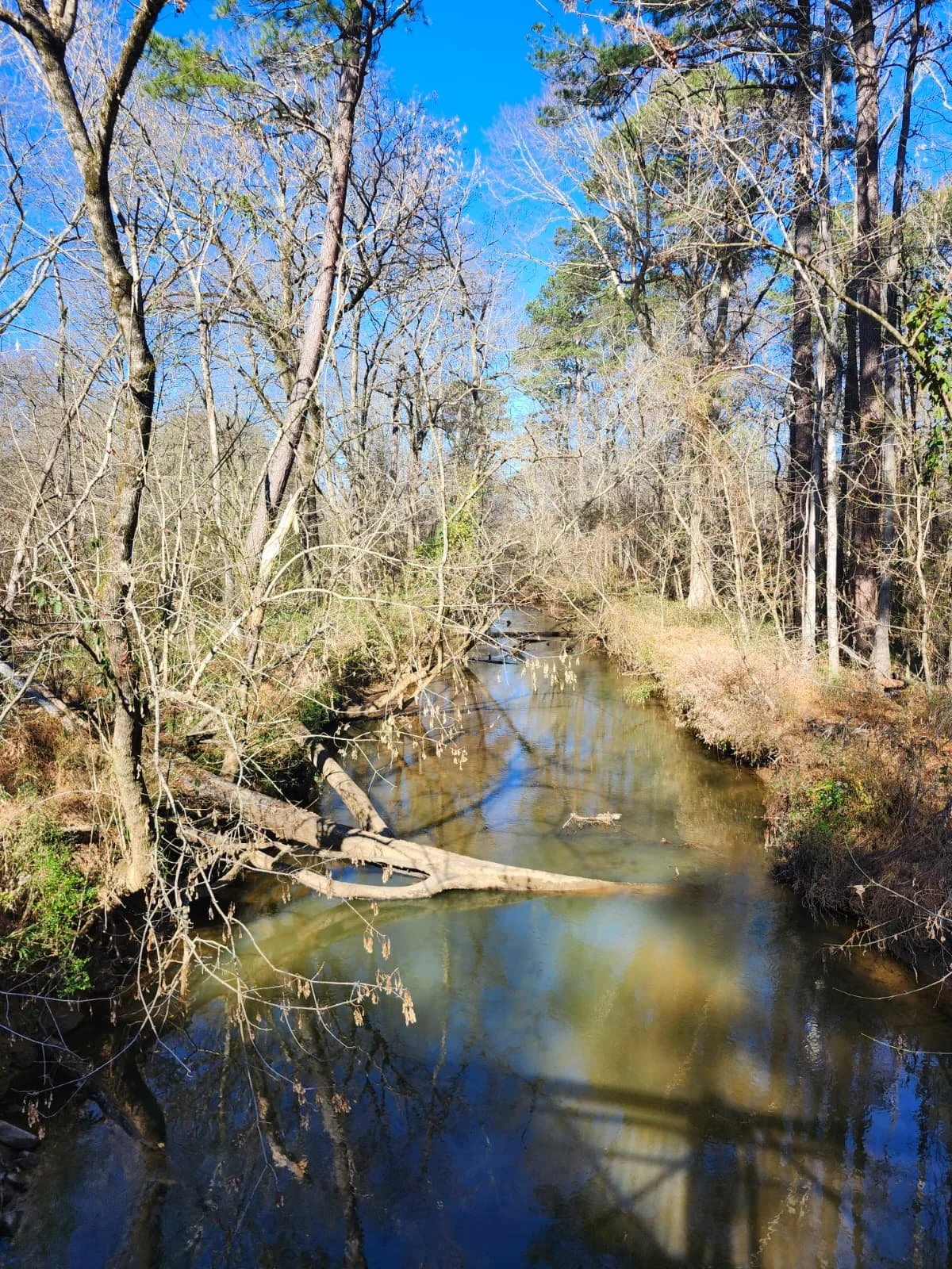 WhatsApp Image 2025-11-28 at 19.09.29 (3).jpeg