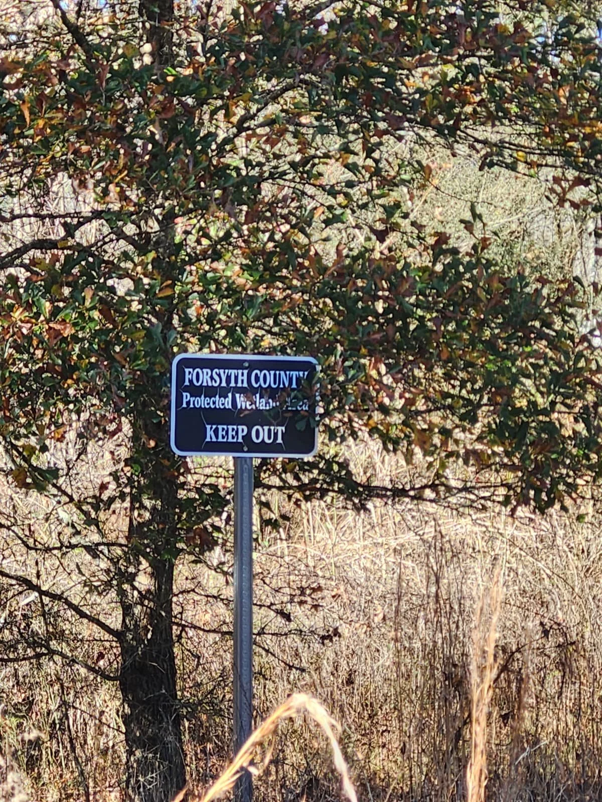 WhatsApp Image 2025-11-28 at 19.09.29.jpeg