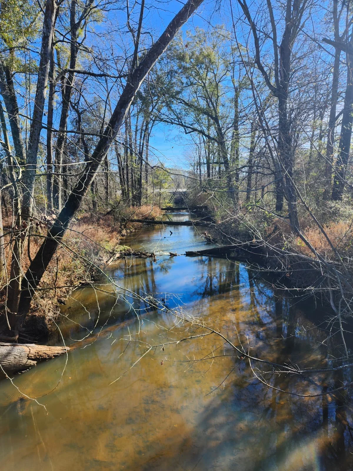 WhatsApp Image 2025-11-28 at 19.09.30 (2).jpeg