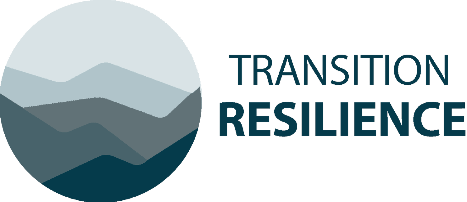 Transition Resilience, LLC Premarital Counseling