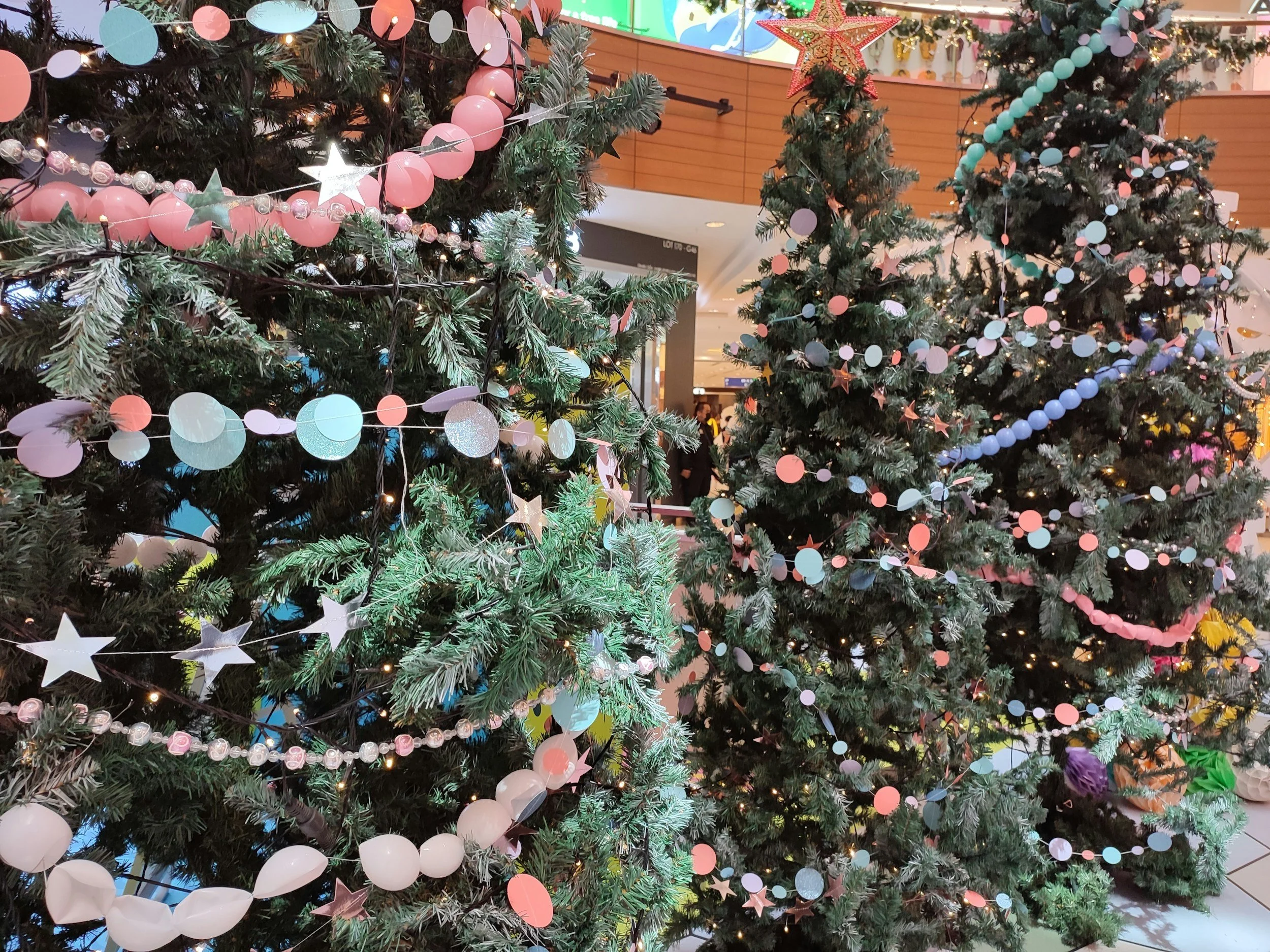 Festival of Trees