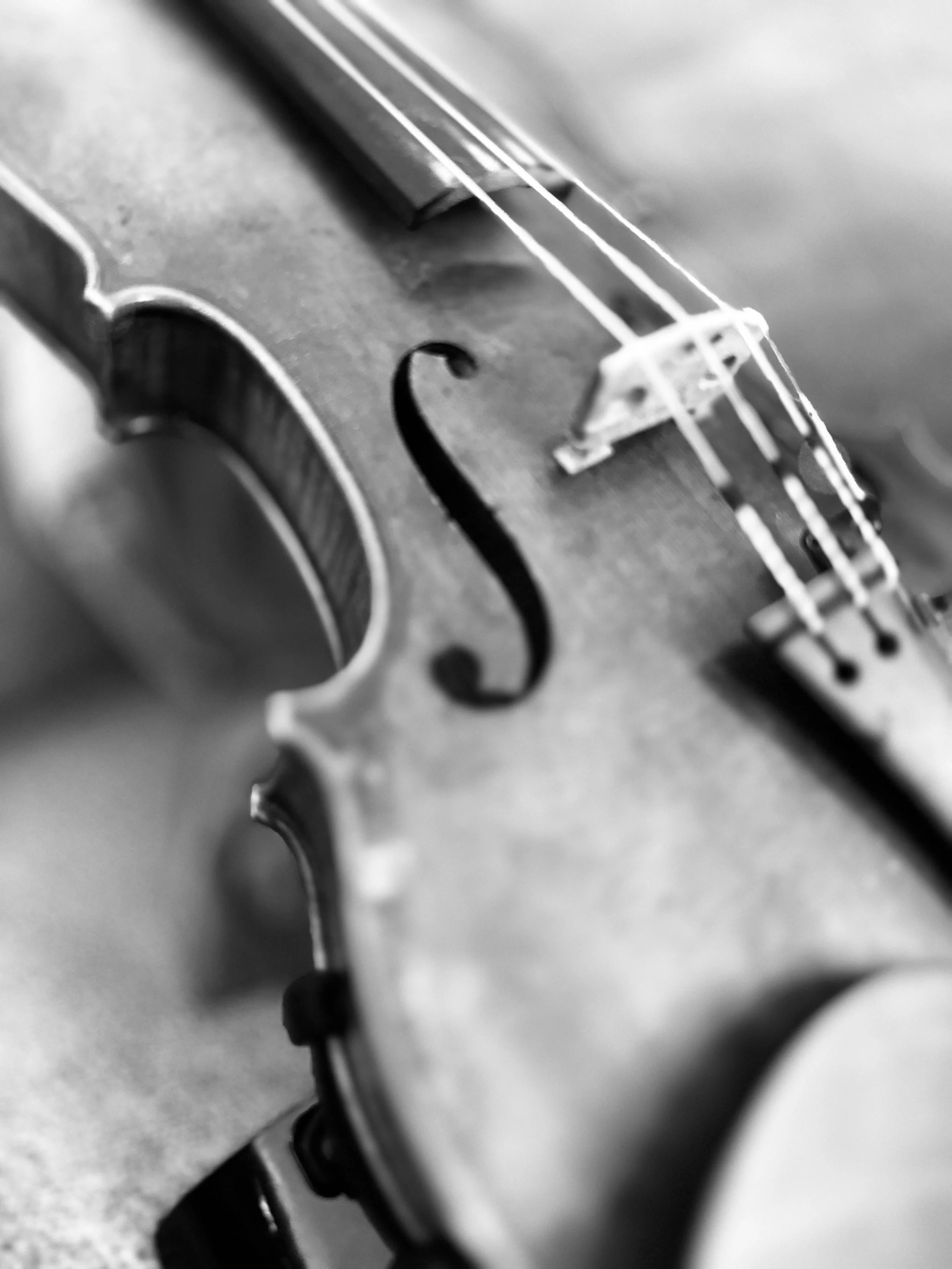 Violin and Fiddle Lessons