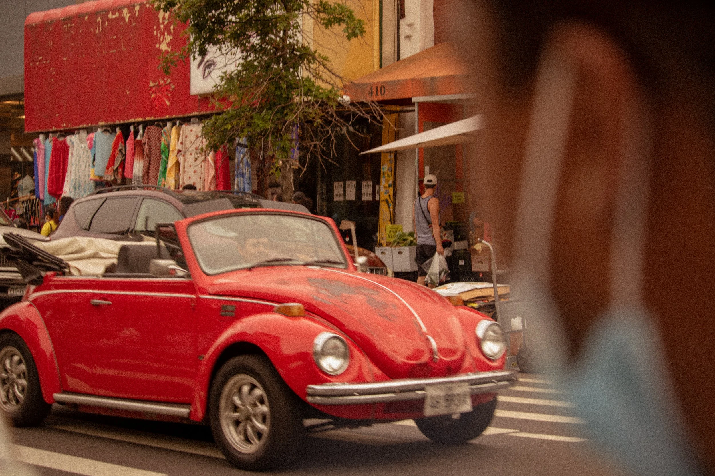 A Bug In Brooklyn.jpg