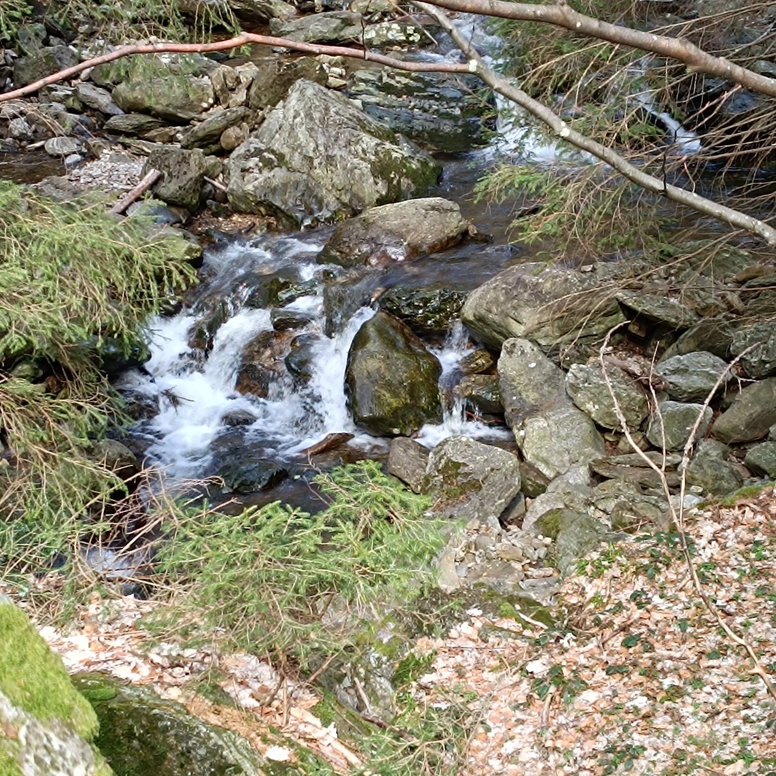 IMG_20240330_094531.jpg