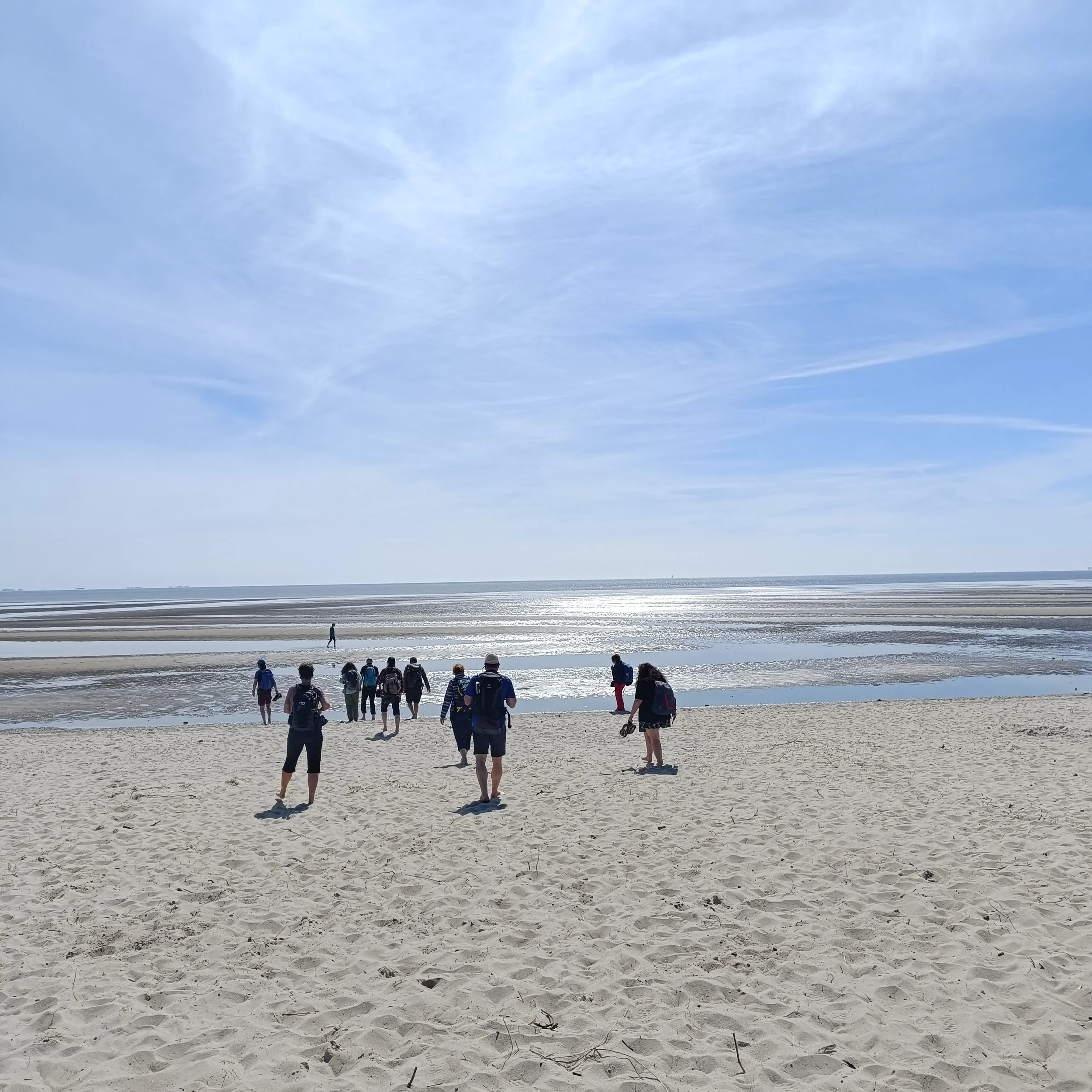 IMG_20240504_140839.jpg