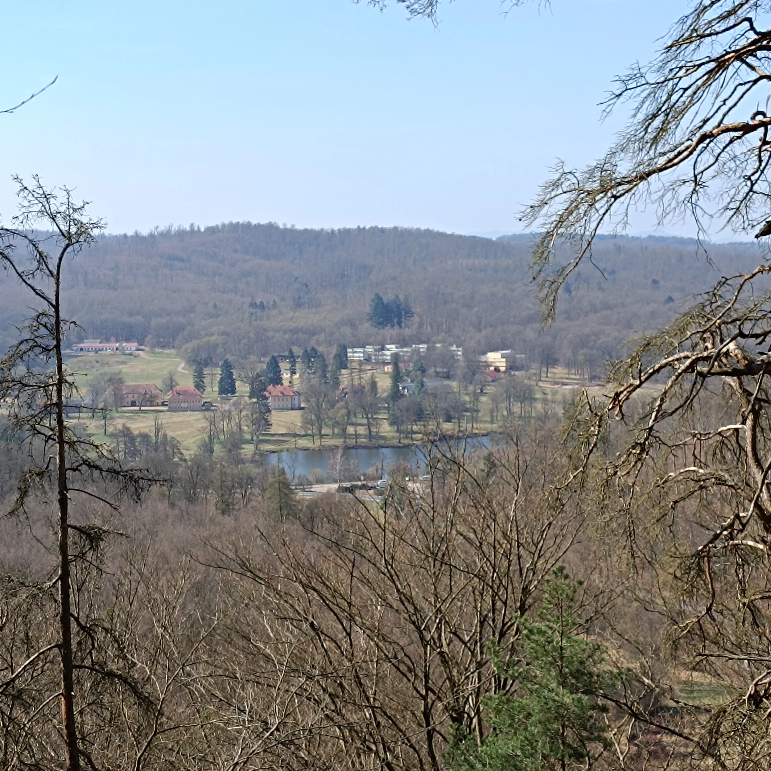 IMG_20250405_113959.jpg