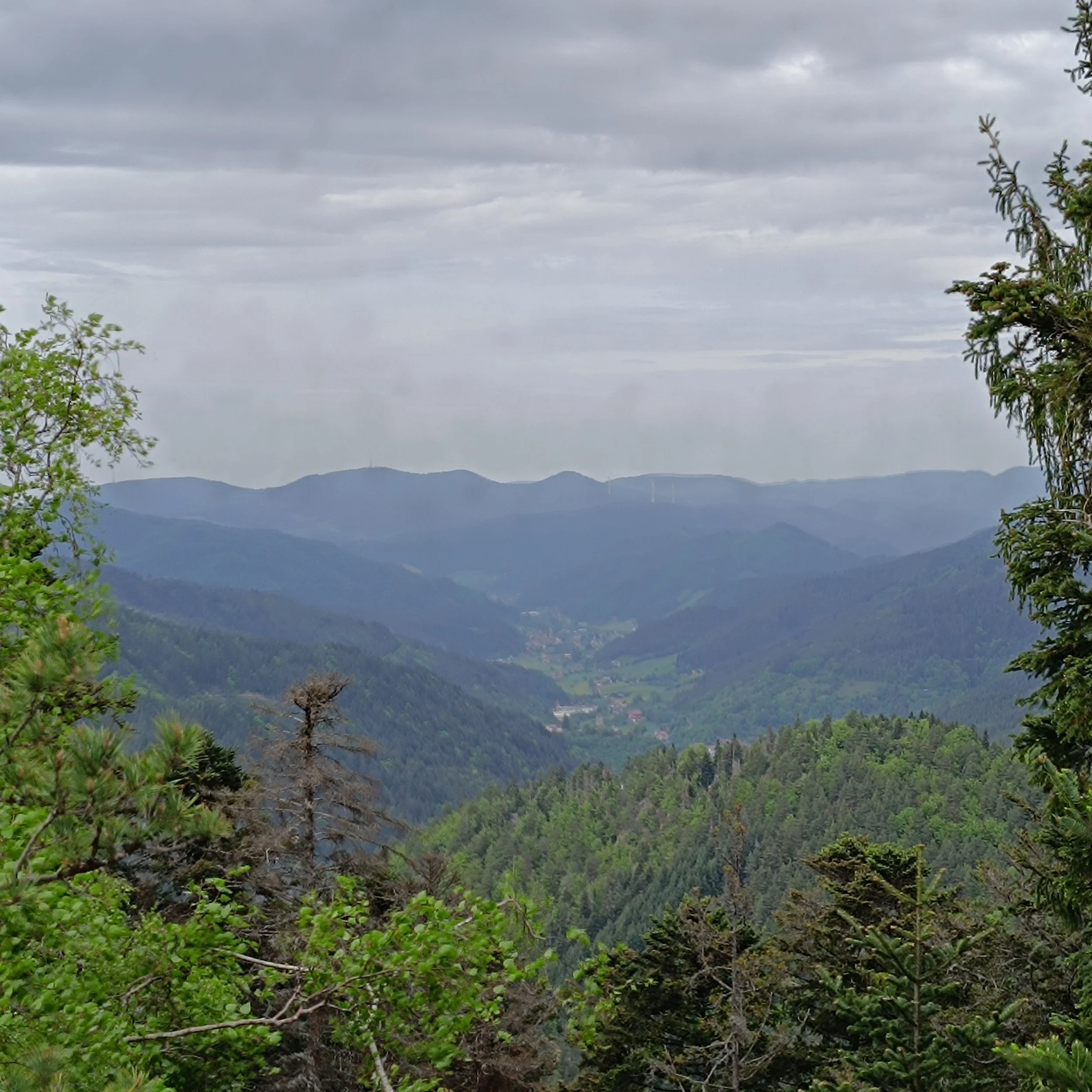 IMG_20250503_133246.jpg