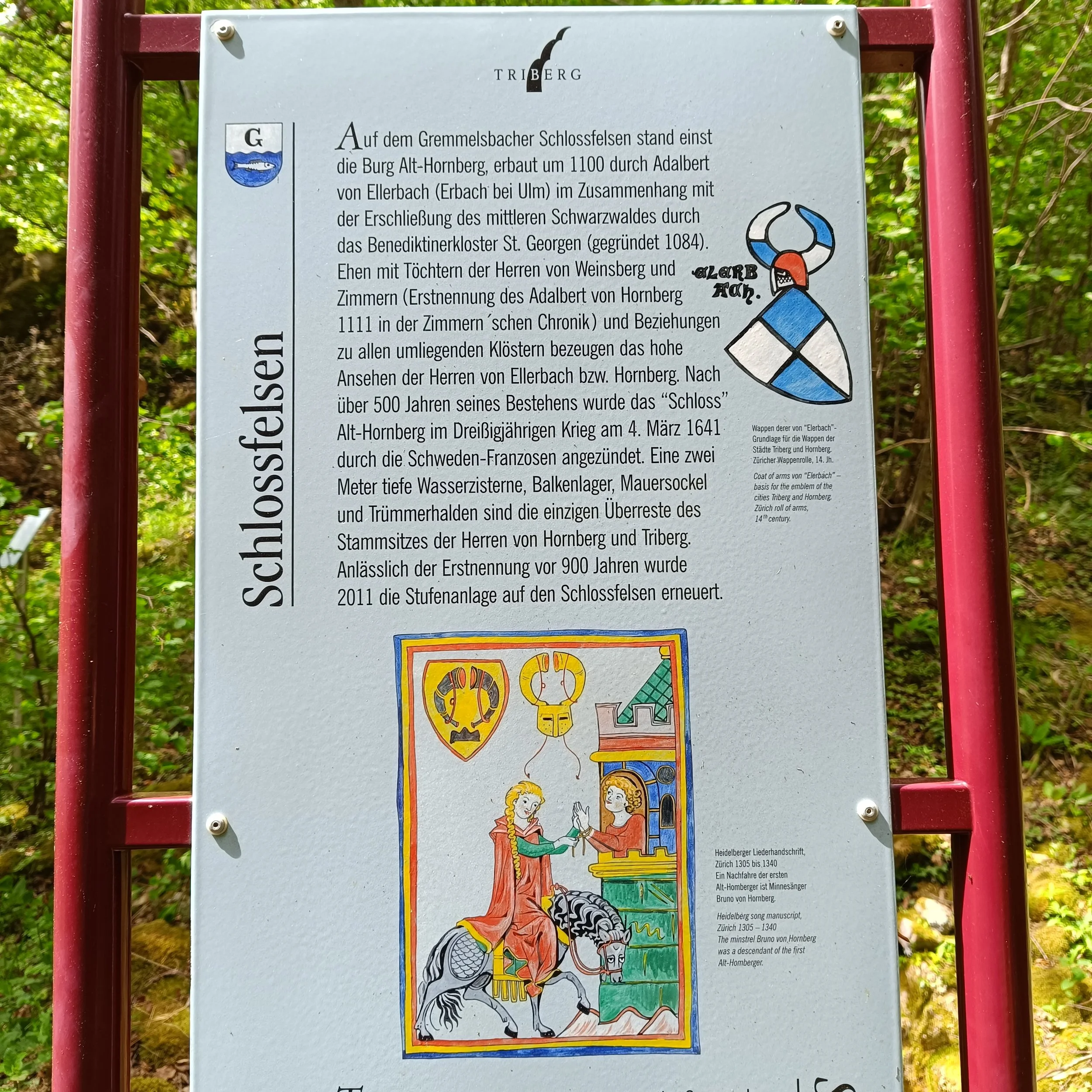 IMG_20250503_140249.jpg