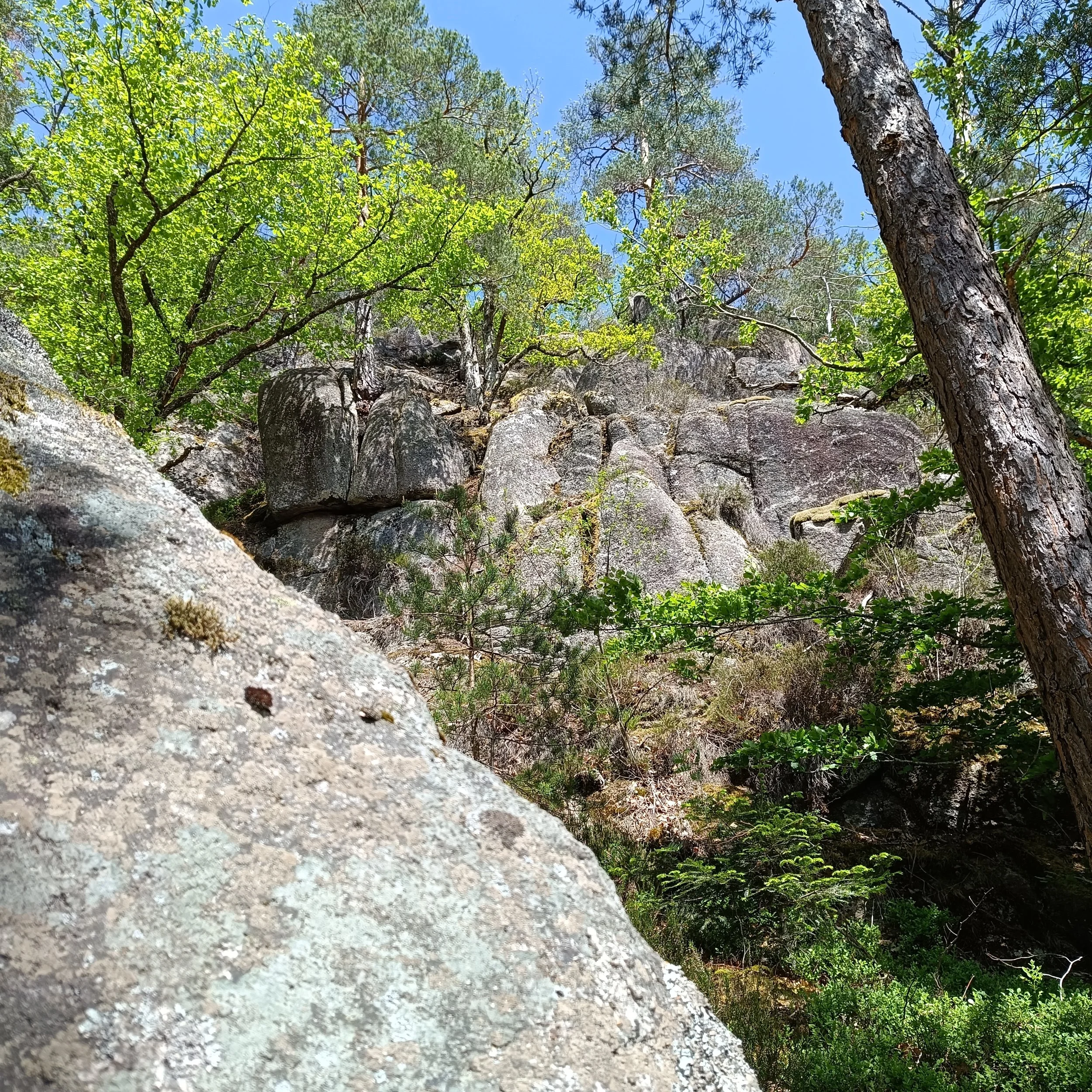 IMG_20250503_144944.jpg