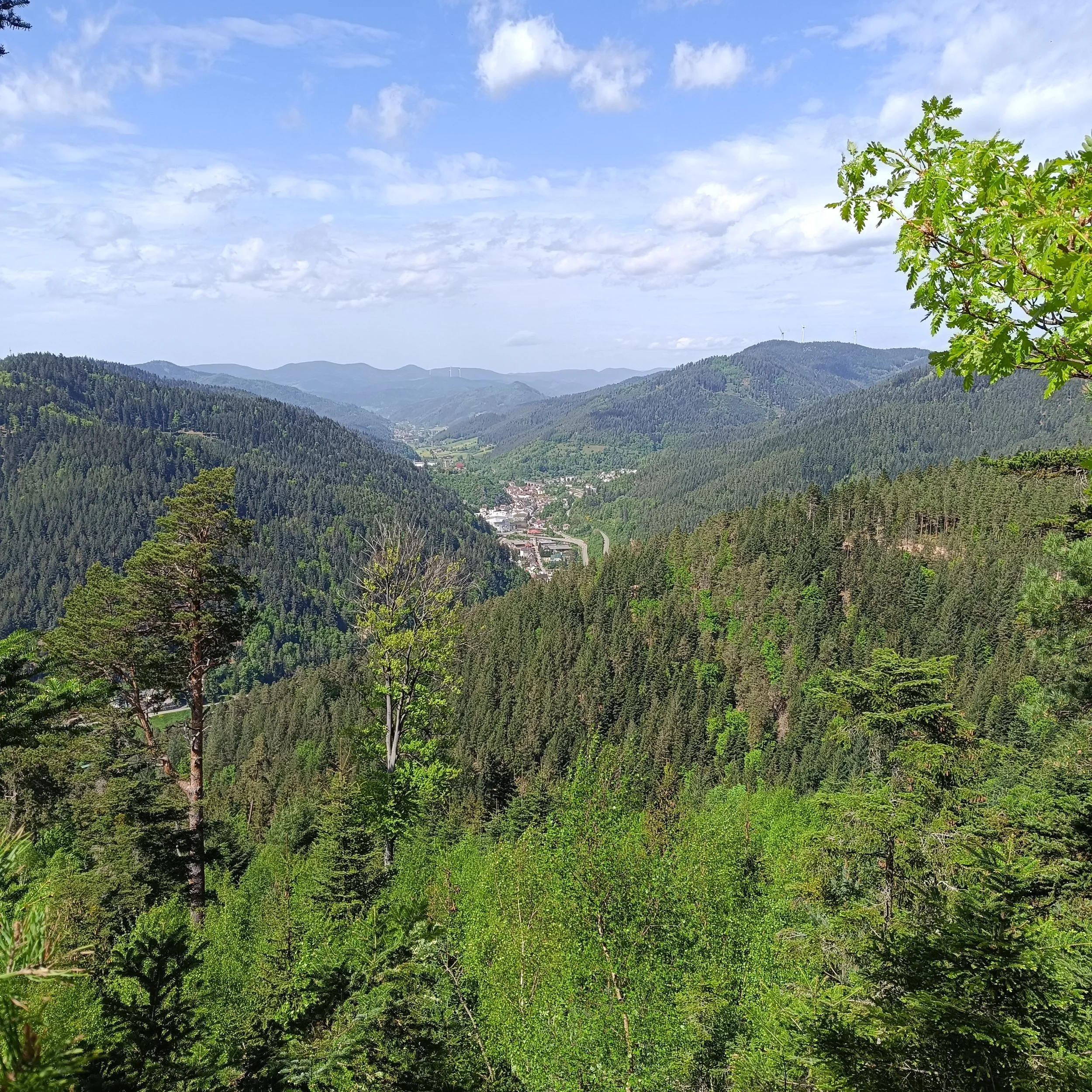 IMG_20250503_145528.jpg