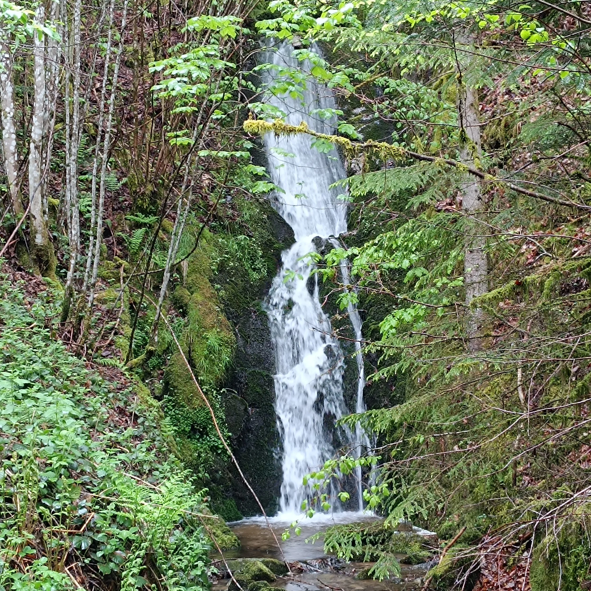 IMG_20250504_133004.jpg