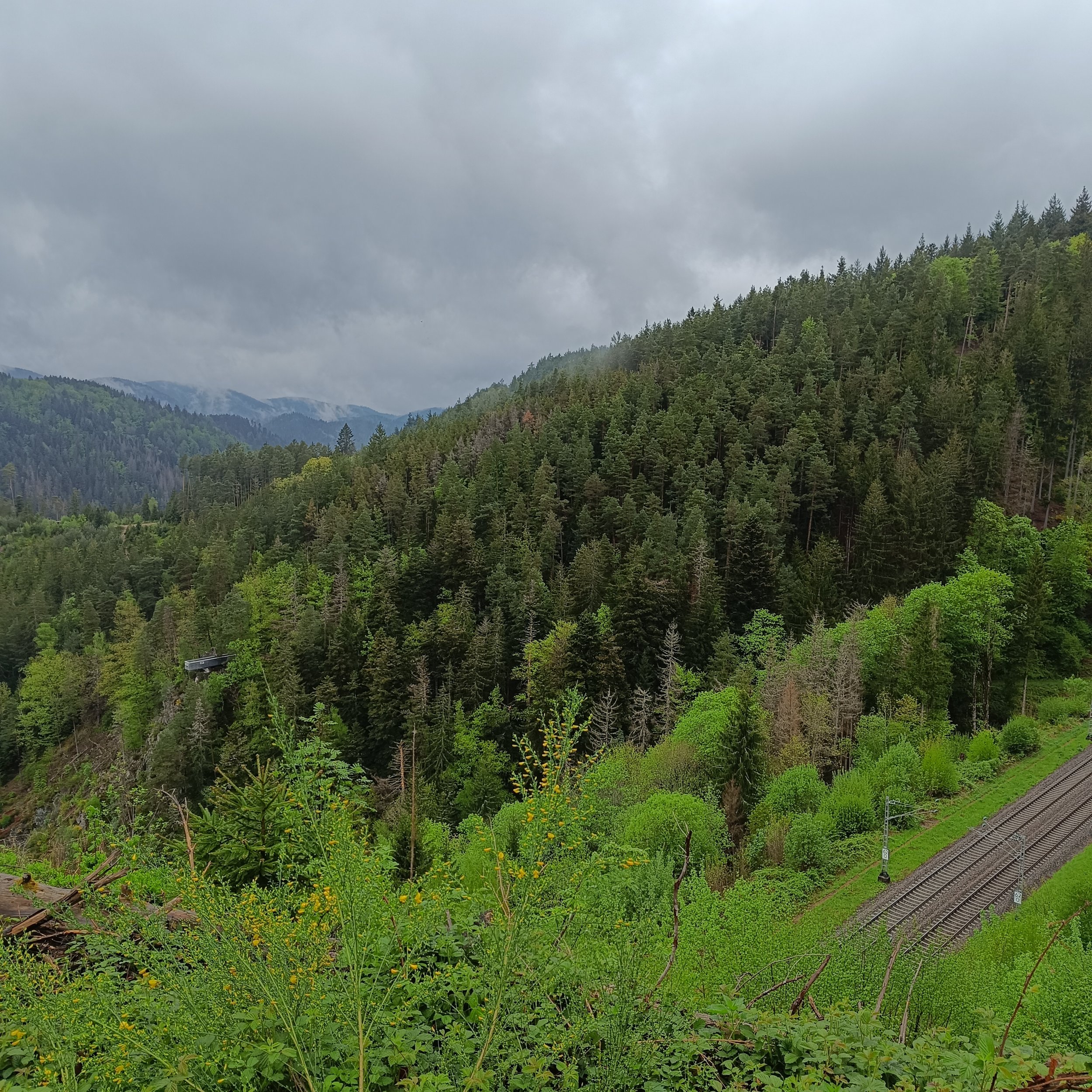 IMG_20250504_143923.jpg