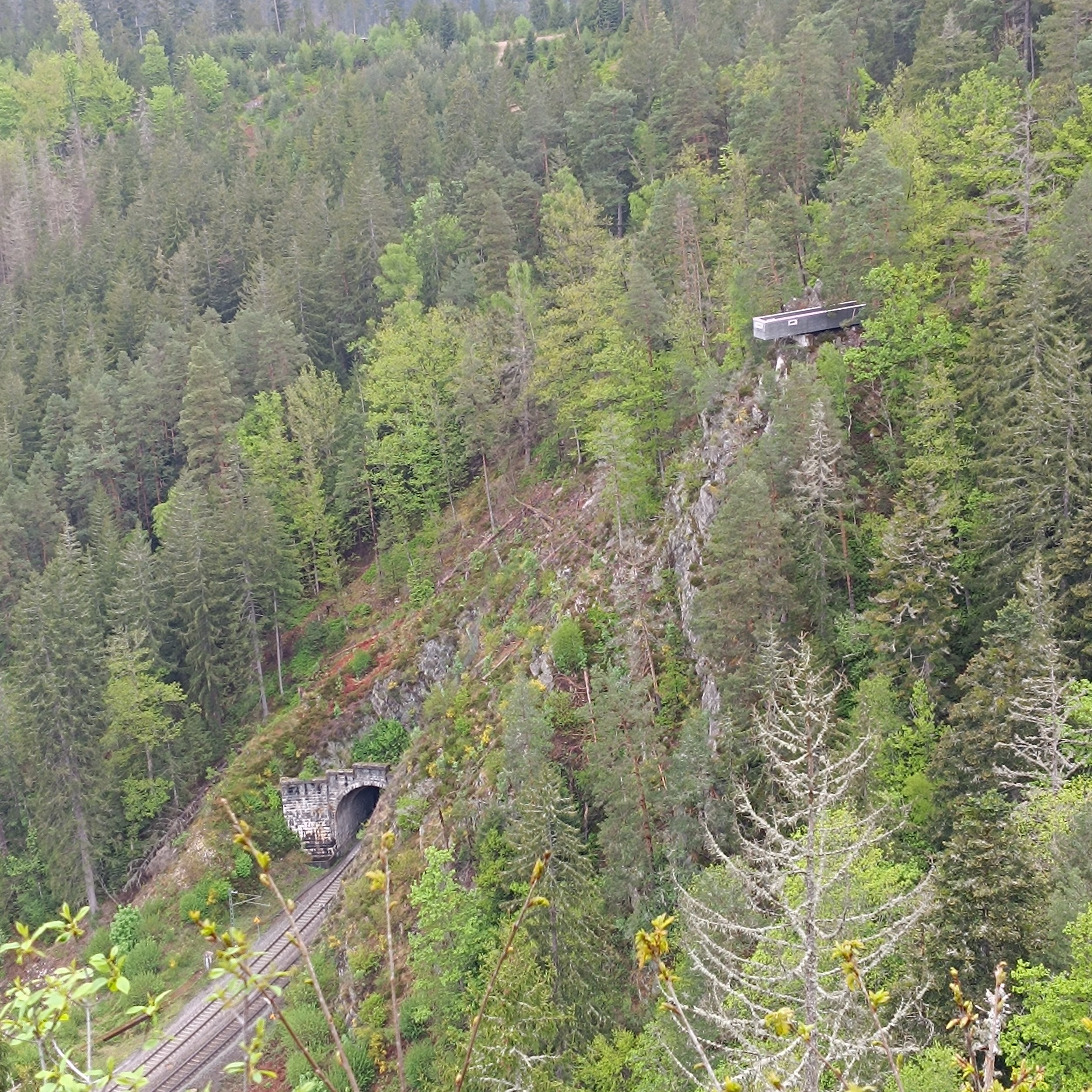 IMG_20250504_144111.jpg