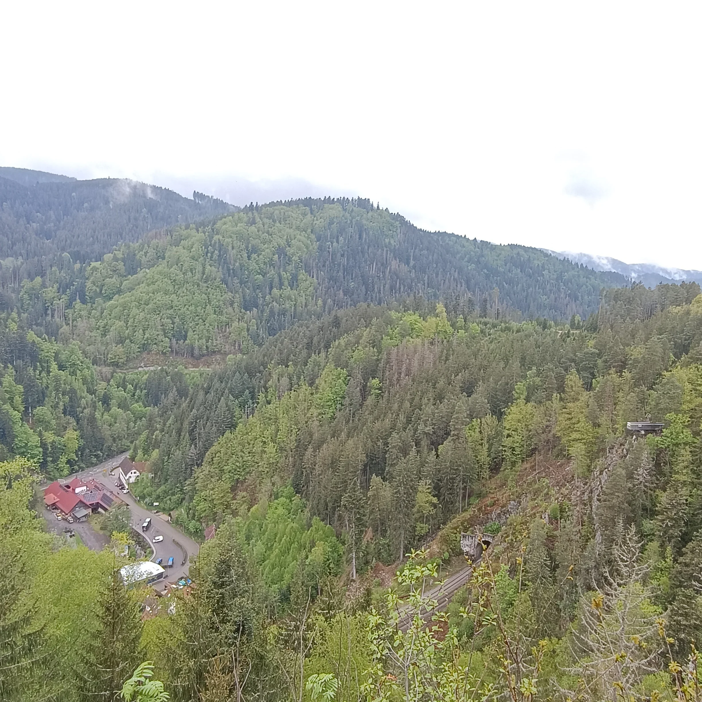 IMG_20250504_144122.jpg