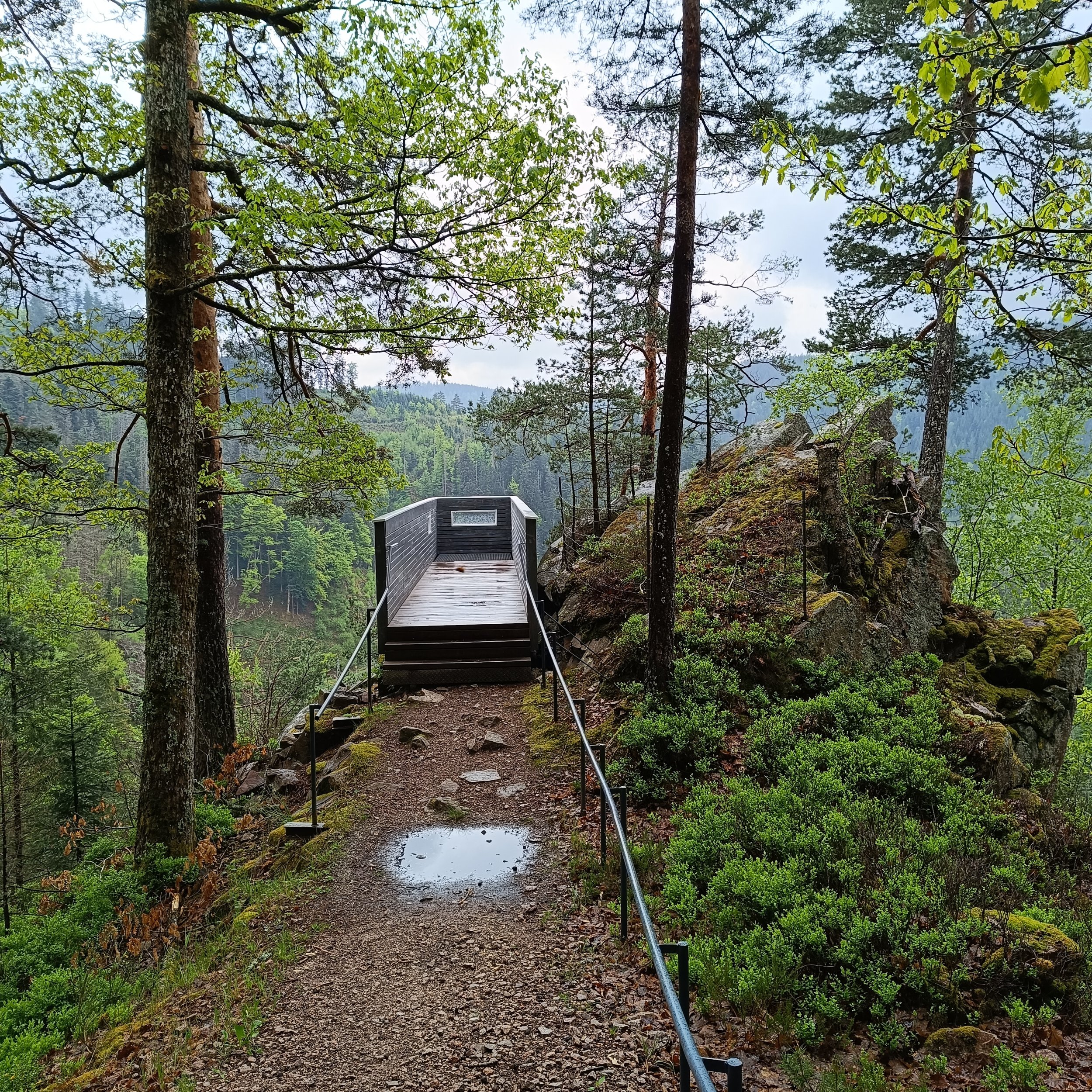 🆕✅Mittlerer Schwarzwald: Felsenweg und Schwarzwaldbahn Erlebnispfad