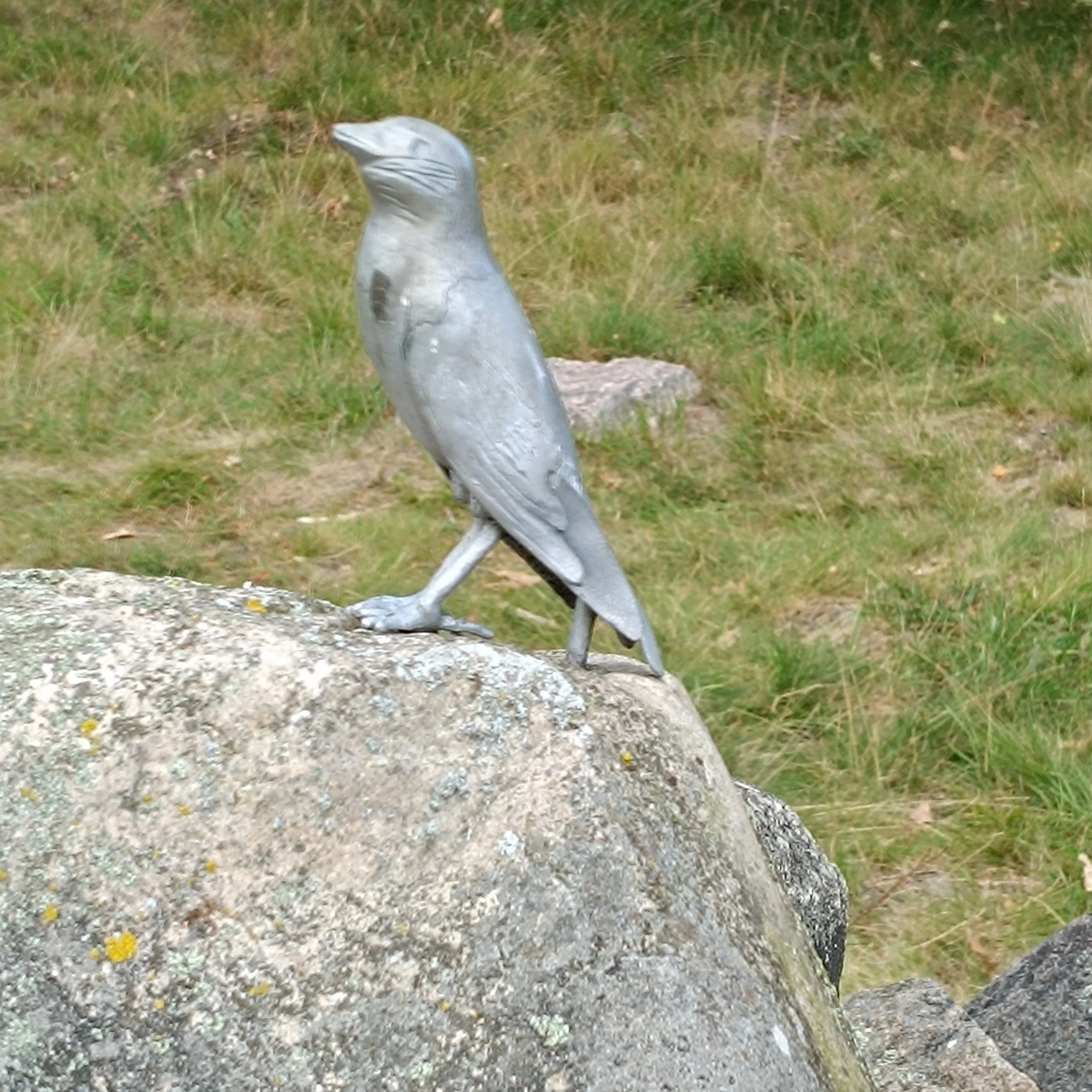 IMG_20250816_104356.jpg