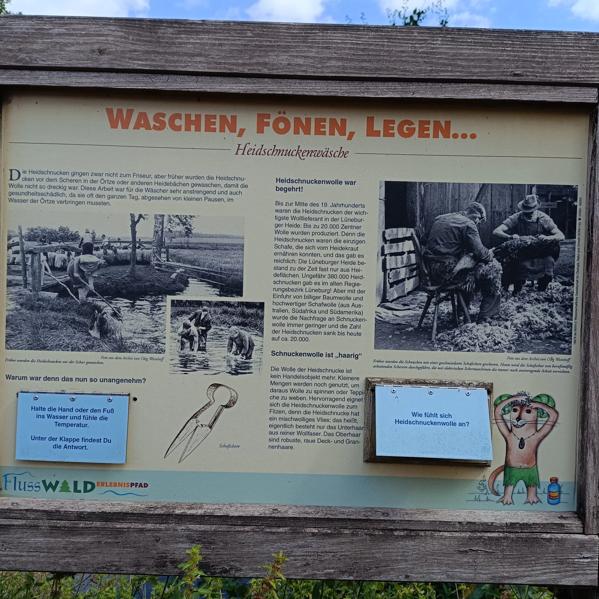IMG_20250817_122958.jpg