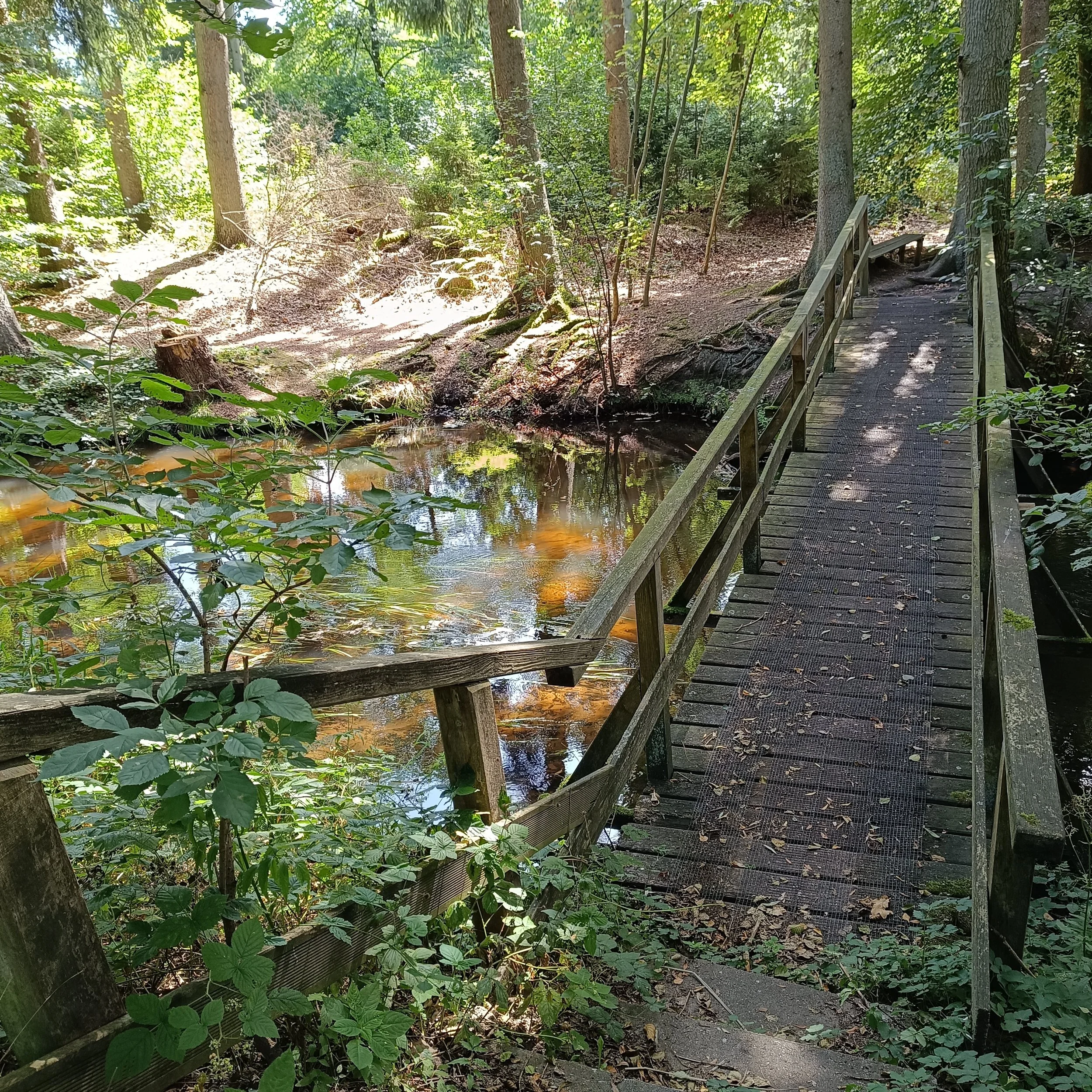 IMG_20250817_130428.jpg