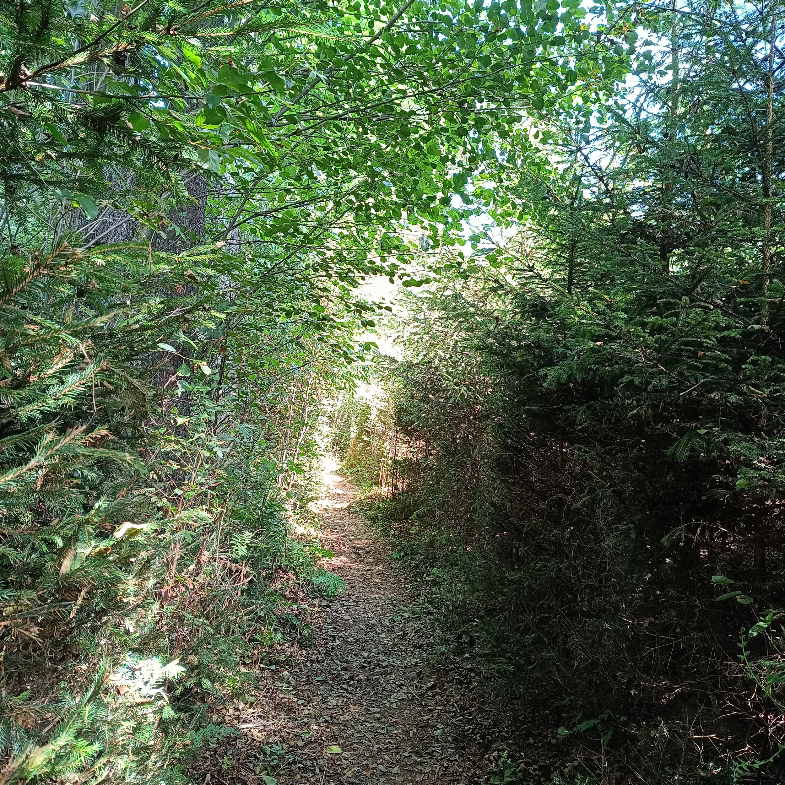 IMG_20250817_134634.jpg