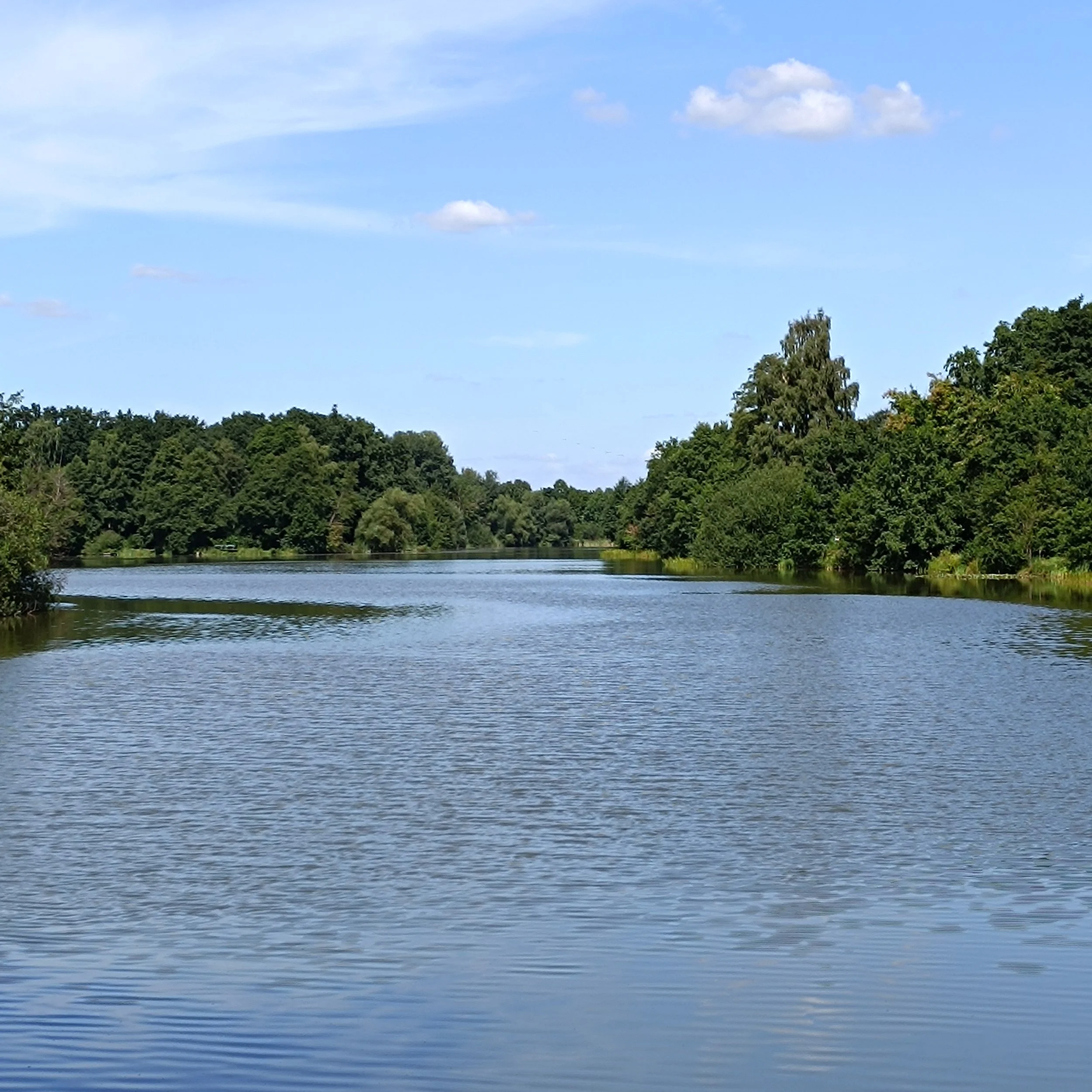 IMG_20250817_141456.jpg