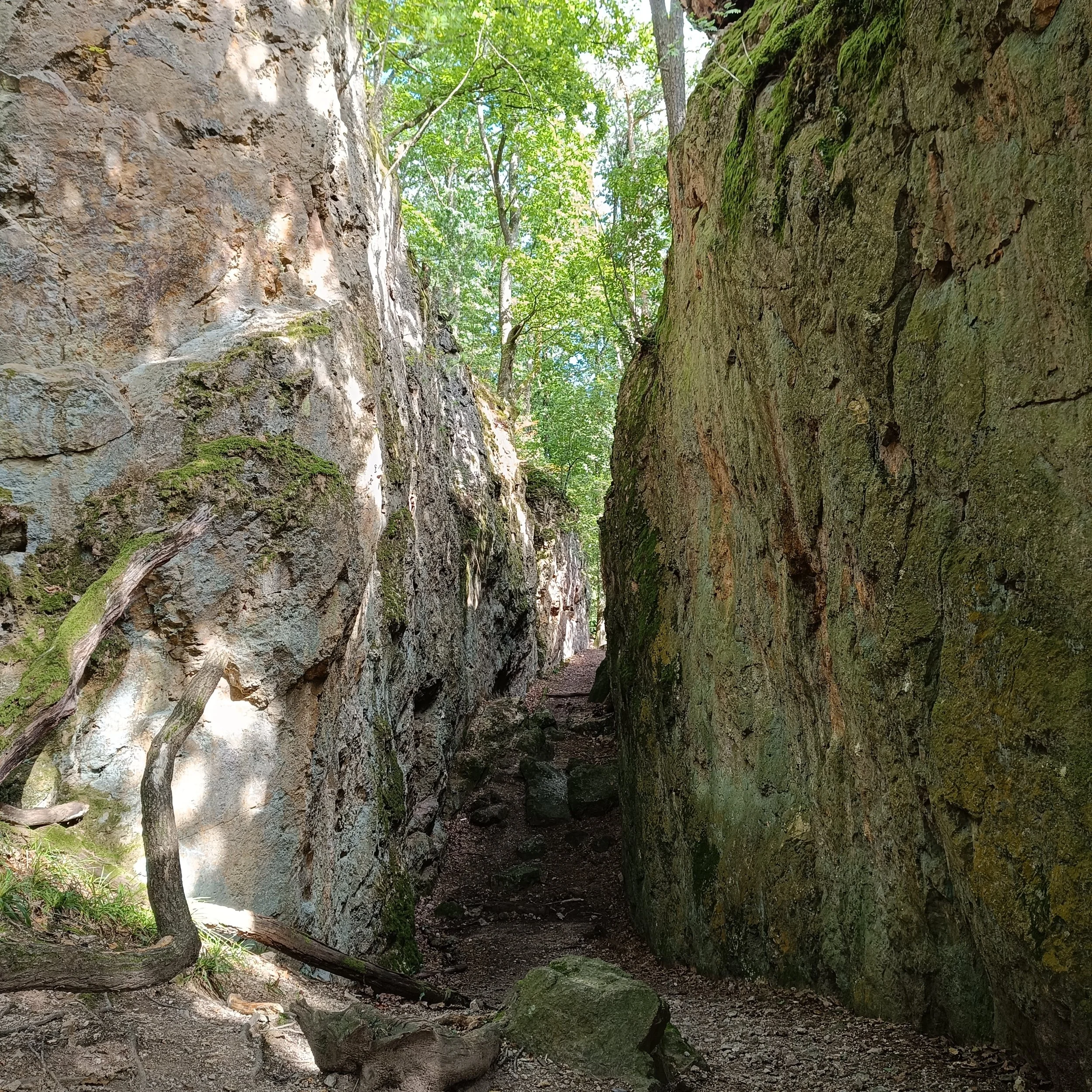 🆕✅Wandern mit “Friends” an der Bergstraße (auch für Paare😉)