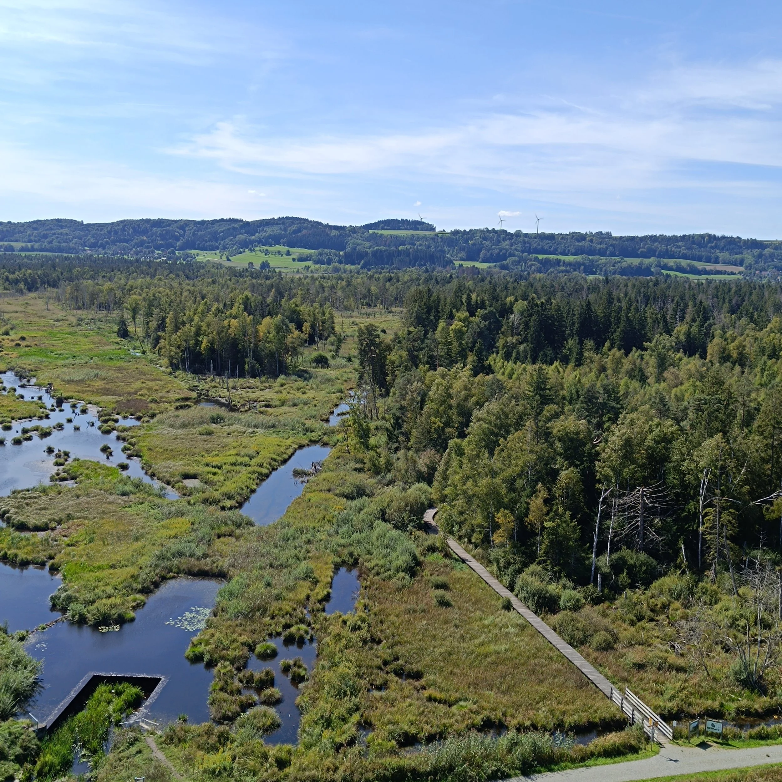 🆕Zauberhaftes Moor im Linzgau und Heiligenberg an Pfingsten 2026