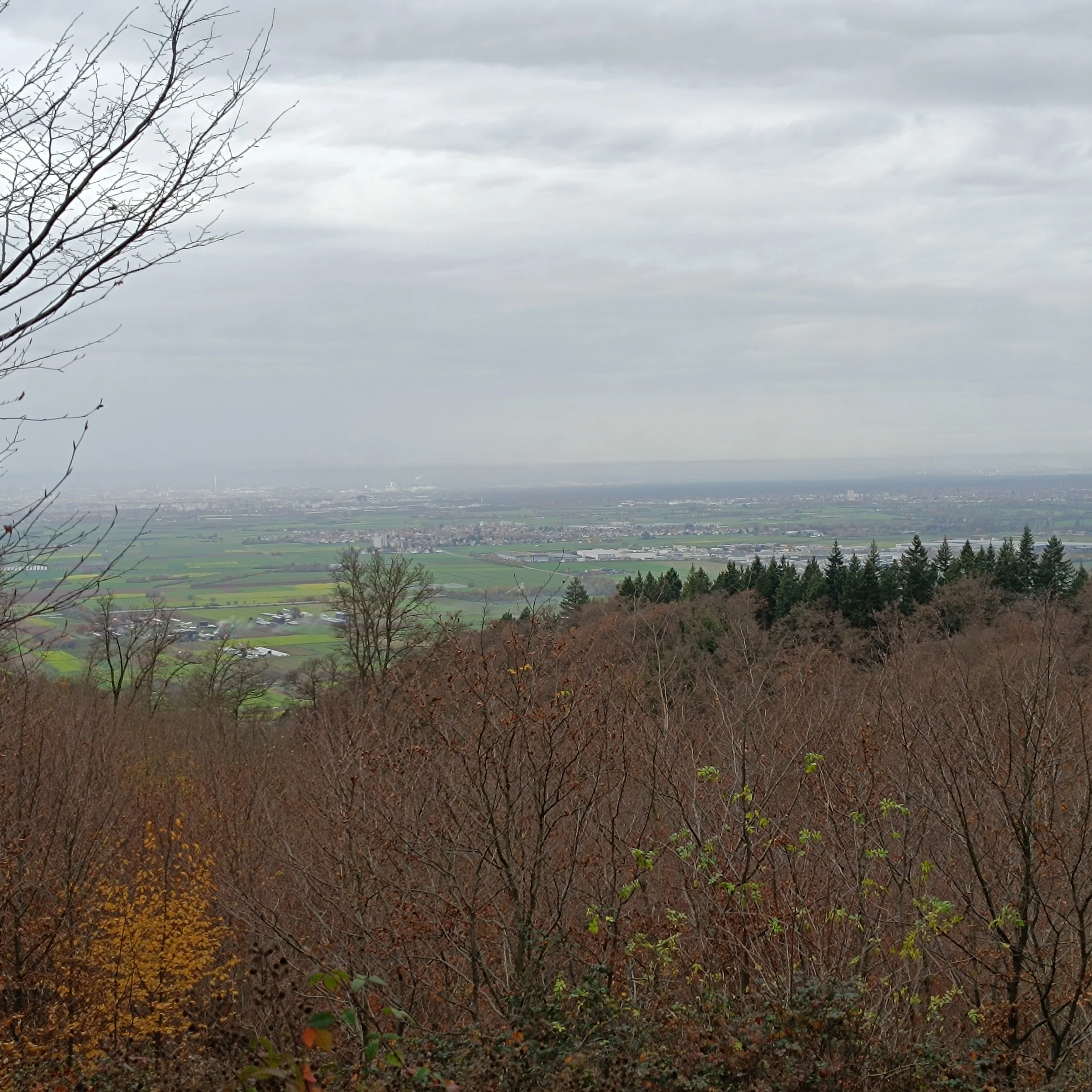 IMG_20251115_112358.jpg