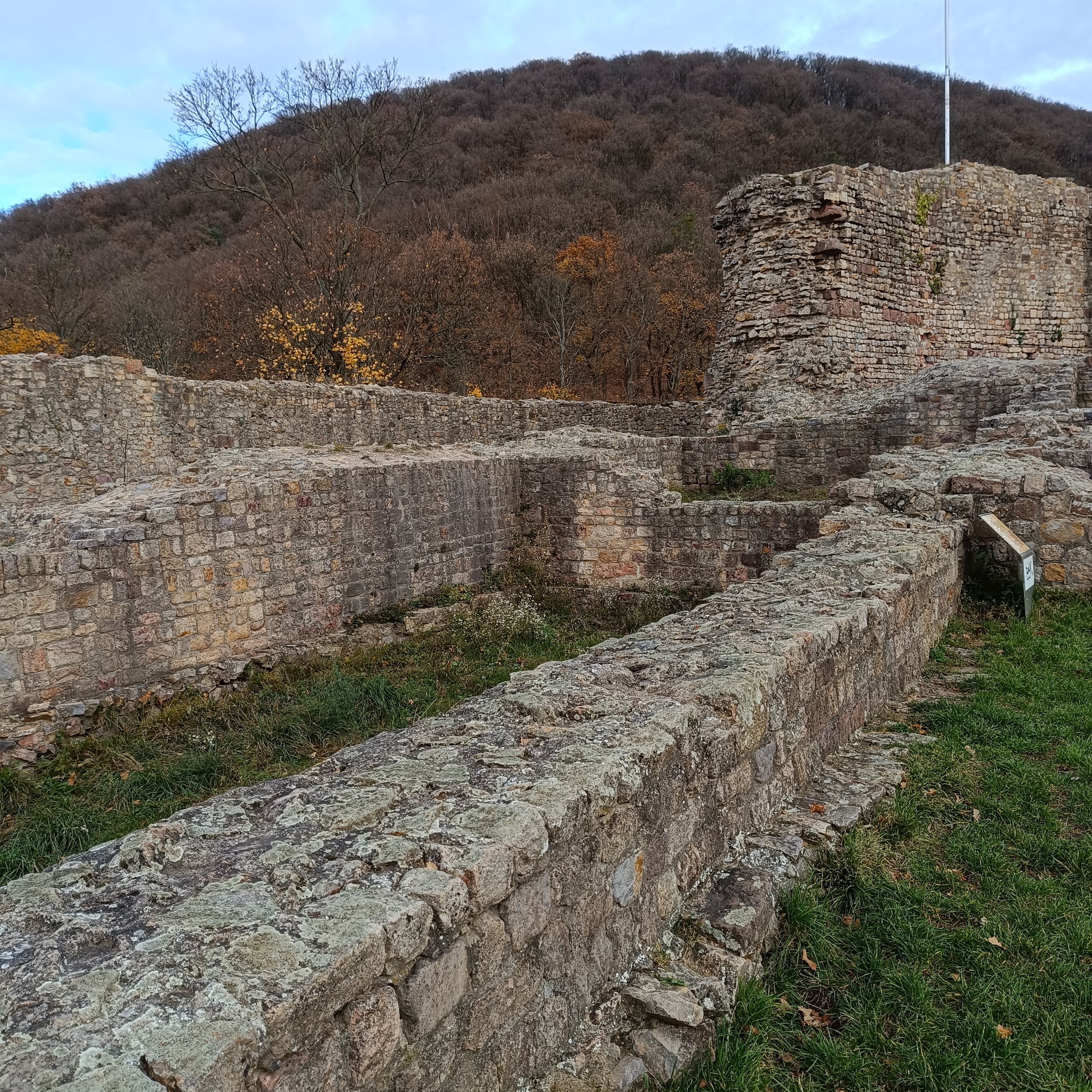 IMG_20251116_112226.jpg