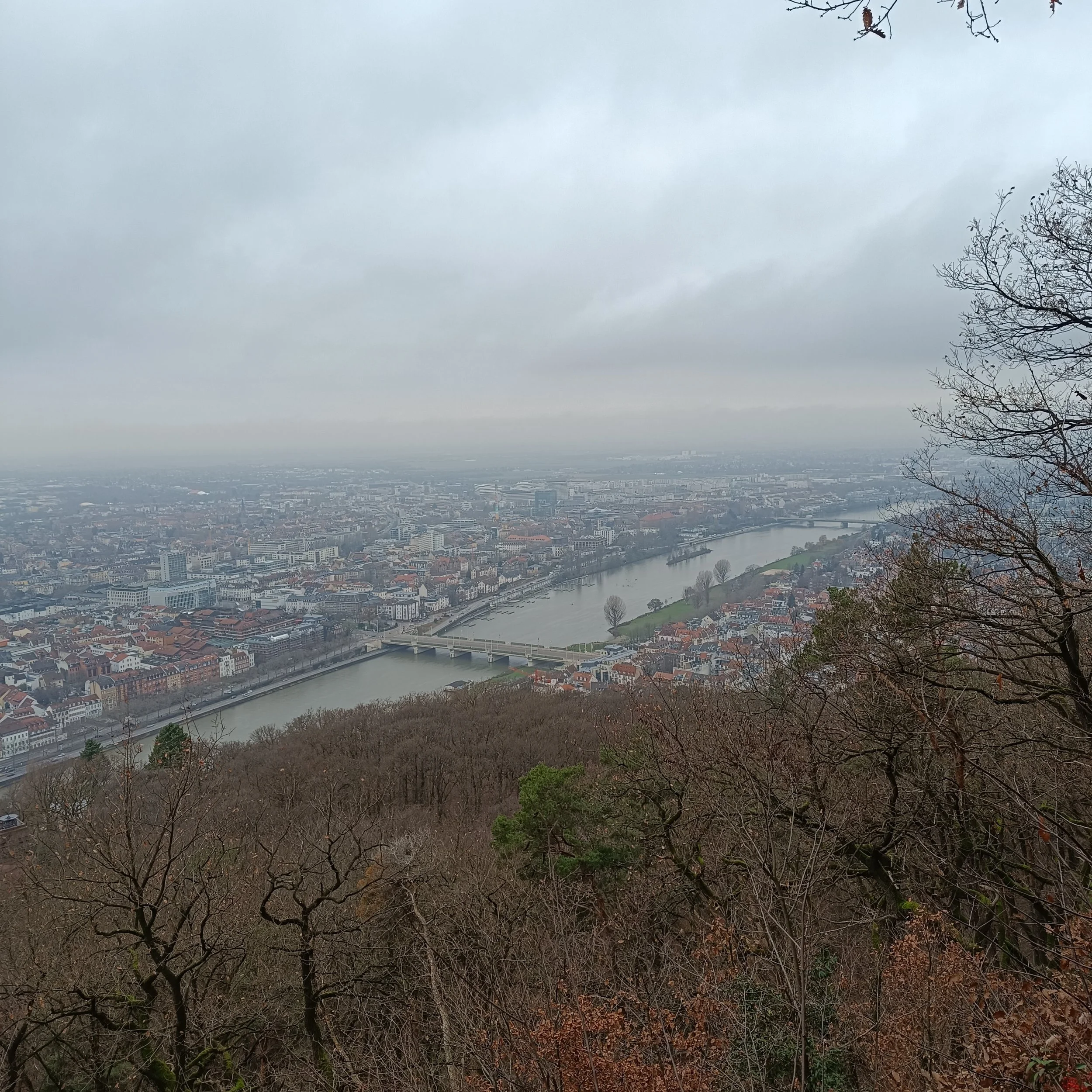 IMG_20251214_113649.jpg
