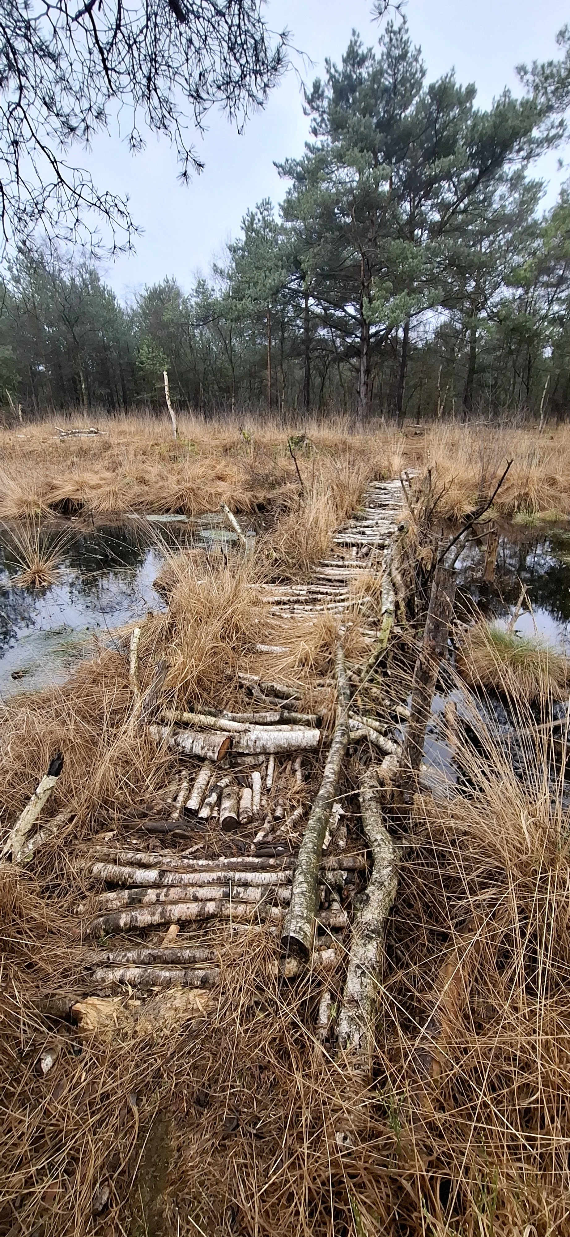 20260314_120945.jpg