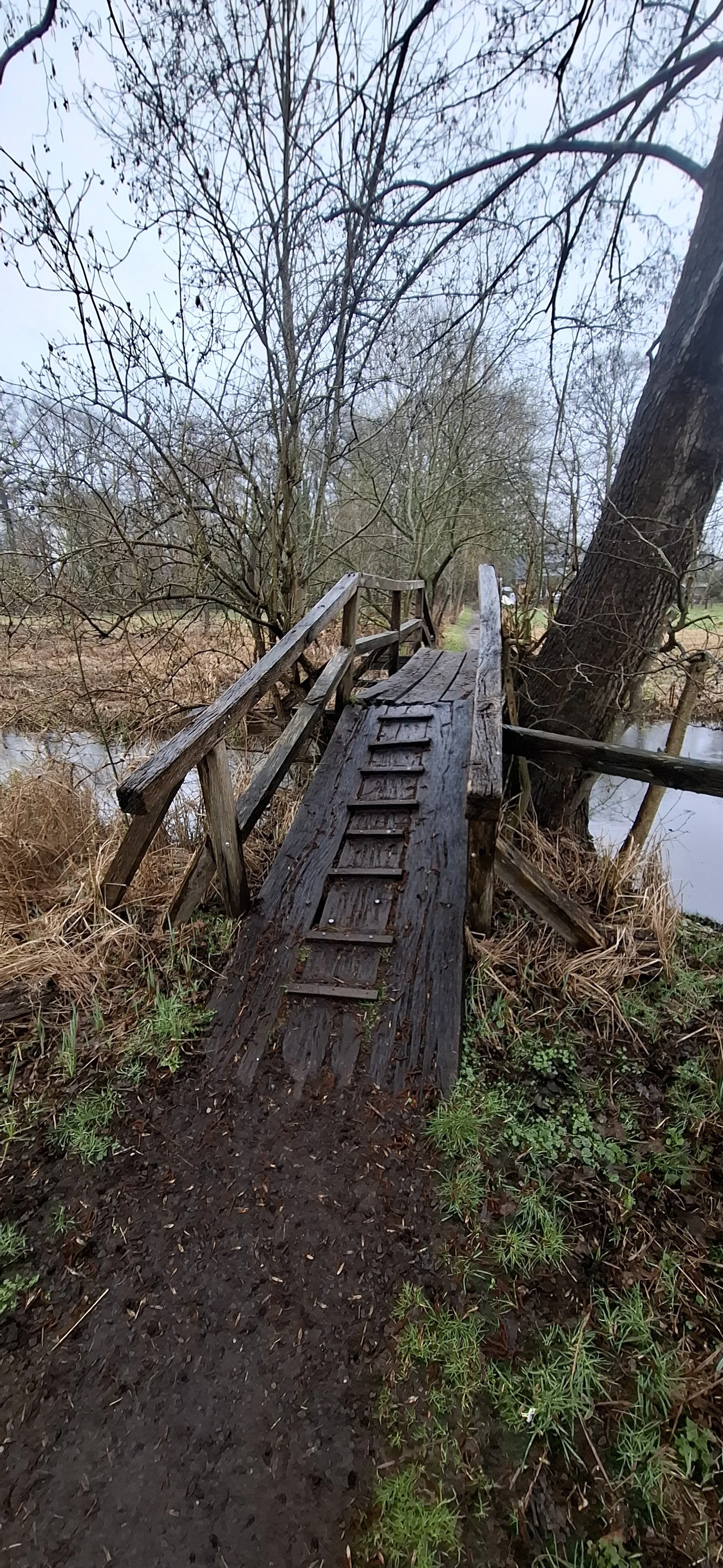20260314_145802.jpg