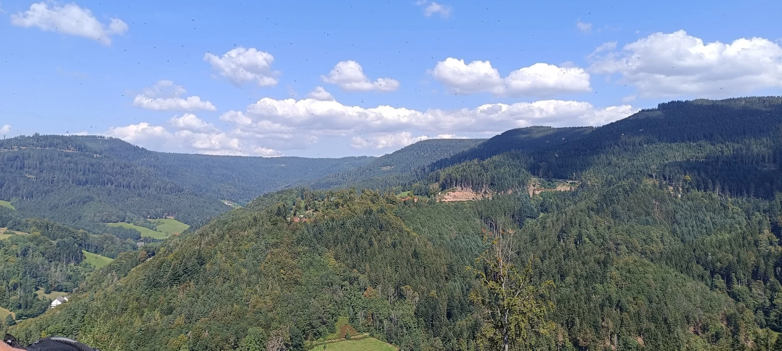 🆕Wandern rund um Freudenstadt für Singles U 55