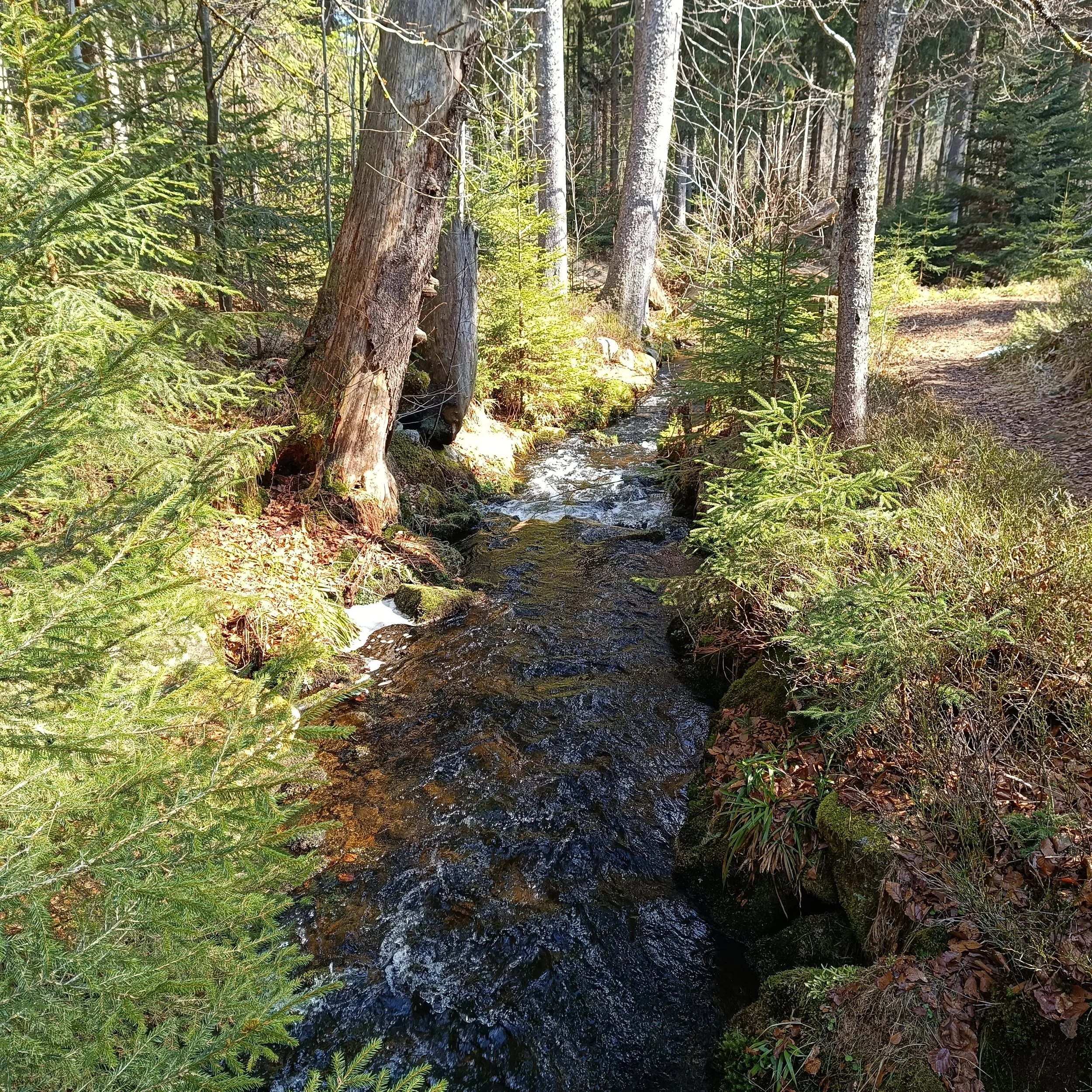 IMG_20260403_104846.jpg
