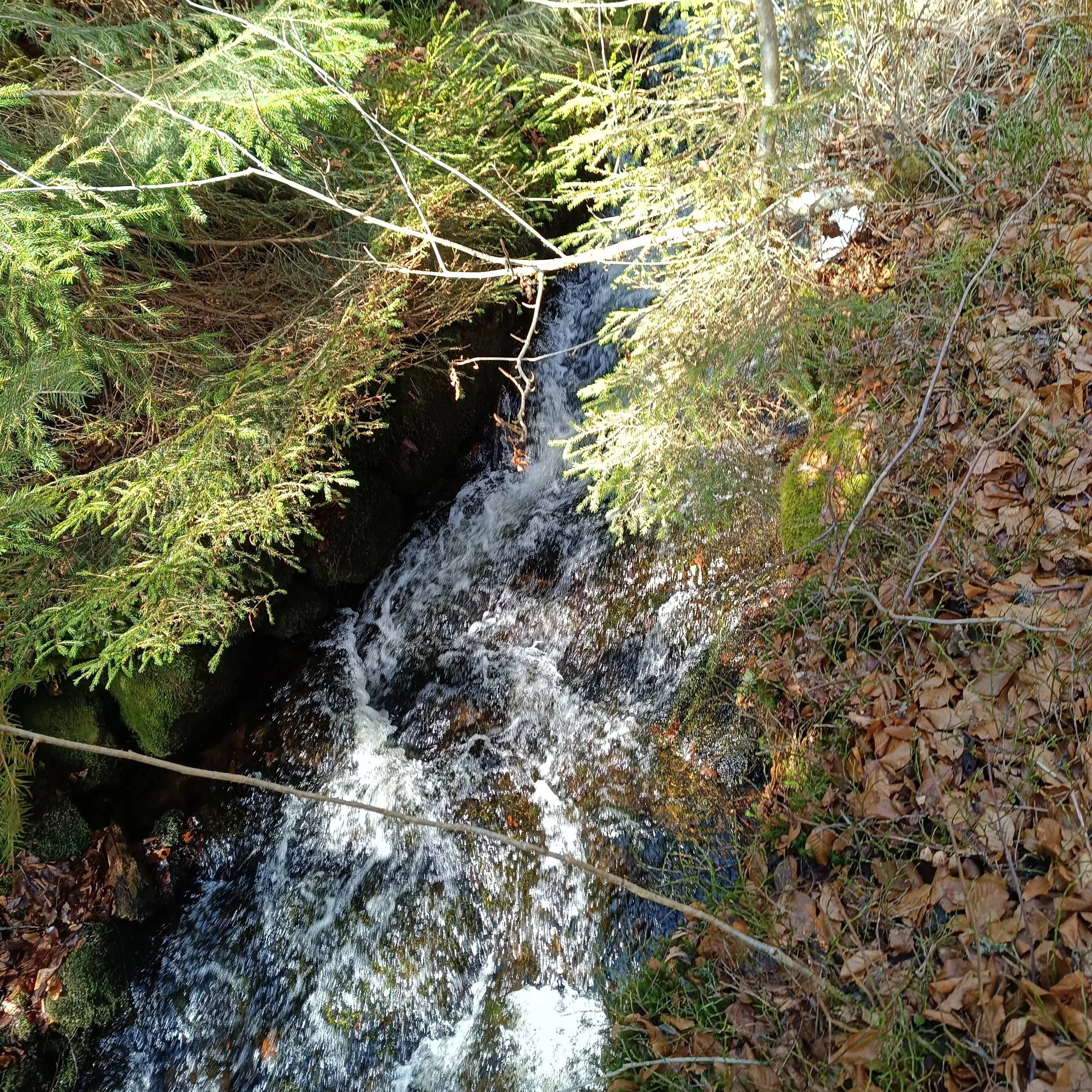 IMG_20260403_111813.jpg