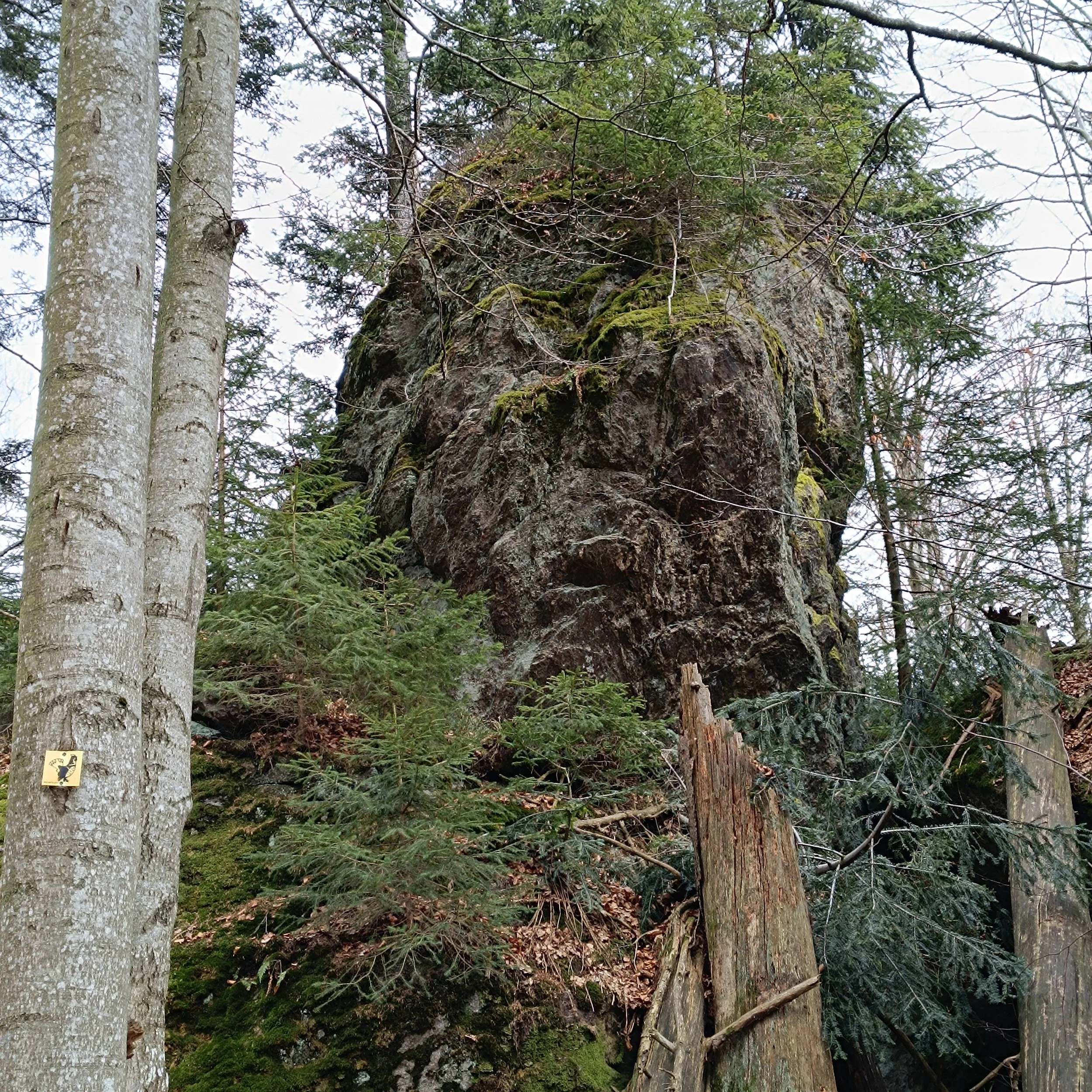IMG_20260403_141346.jpg
