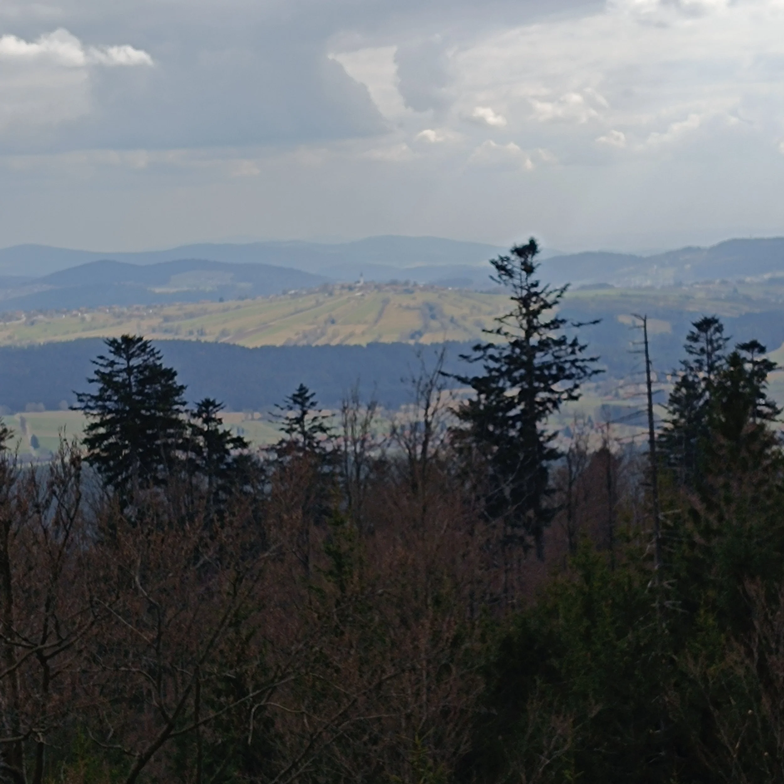 IMG_20260403_145646.jpg