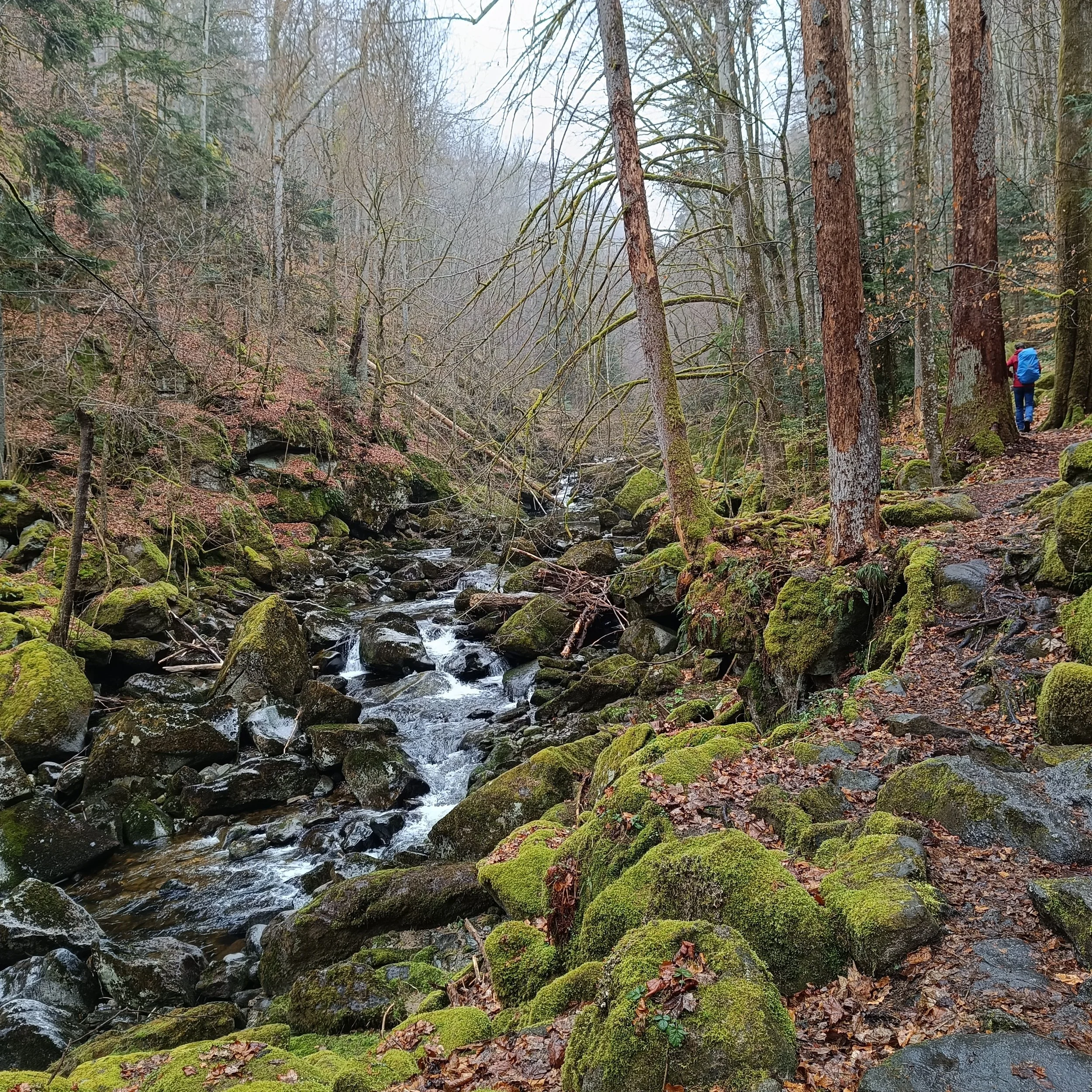 IMG_20260404_111426.jpg