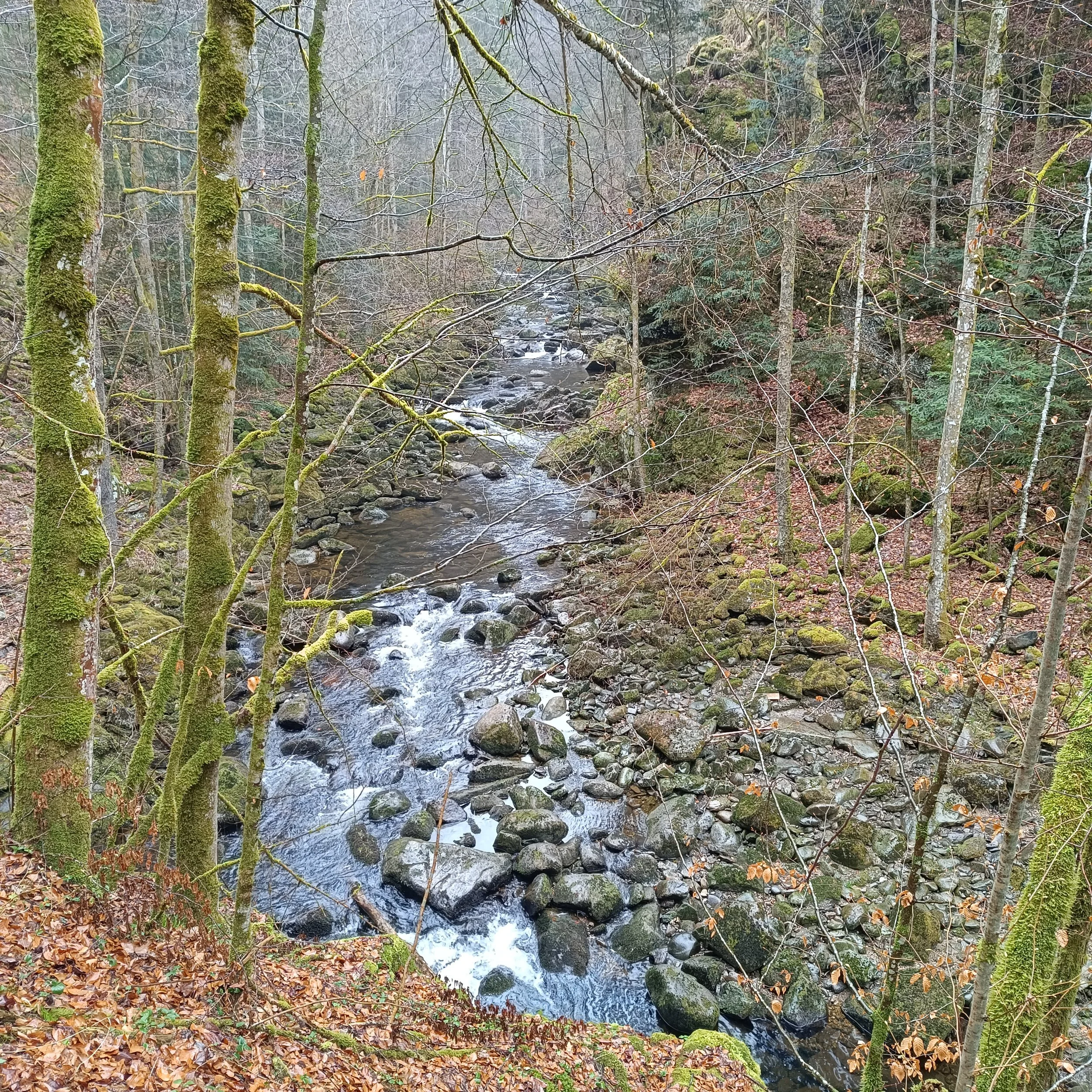 IMG_20260404_114645.jpg