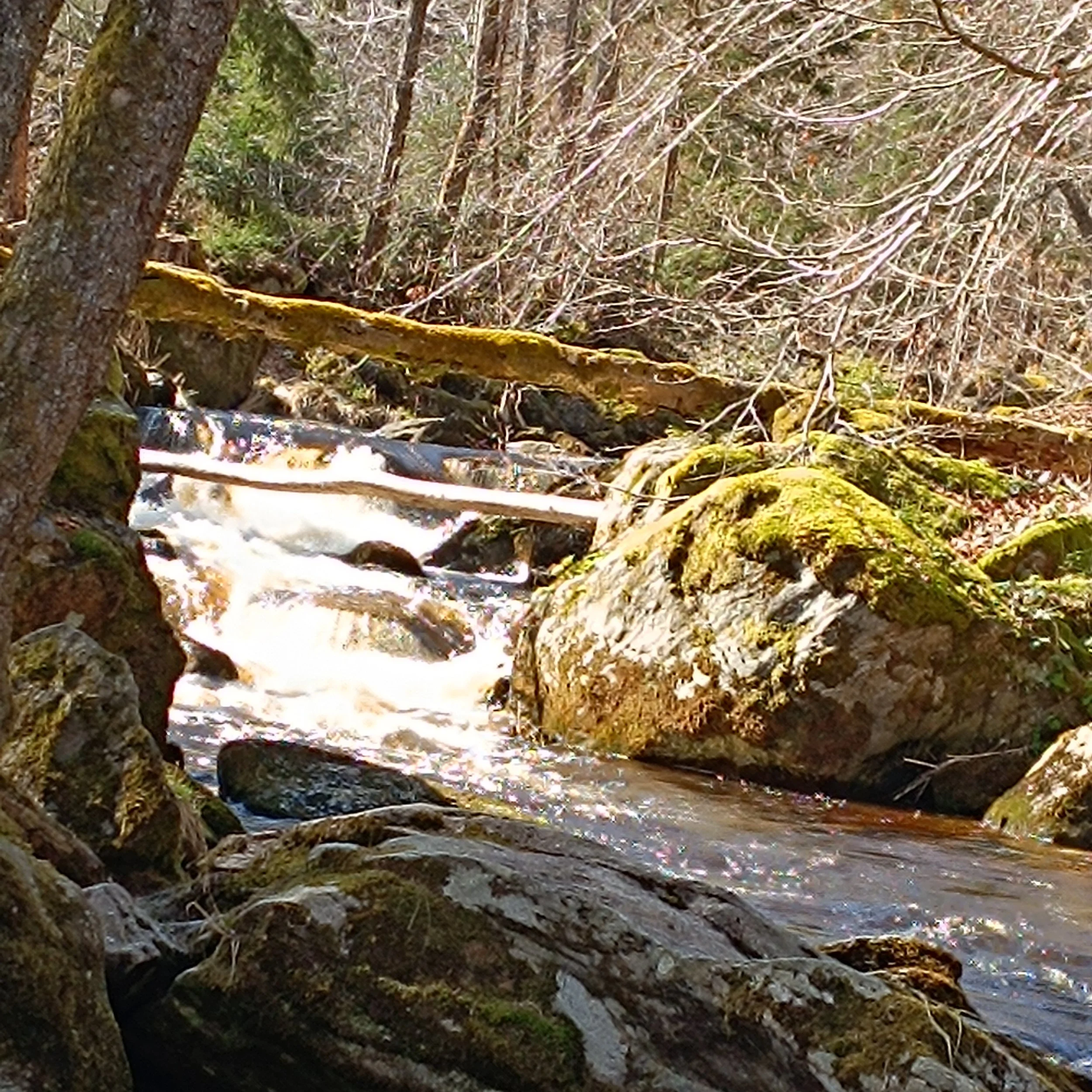IMG_20260405_151151.jpg