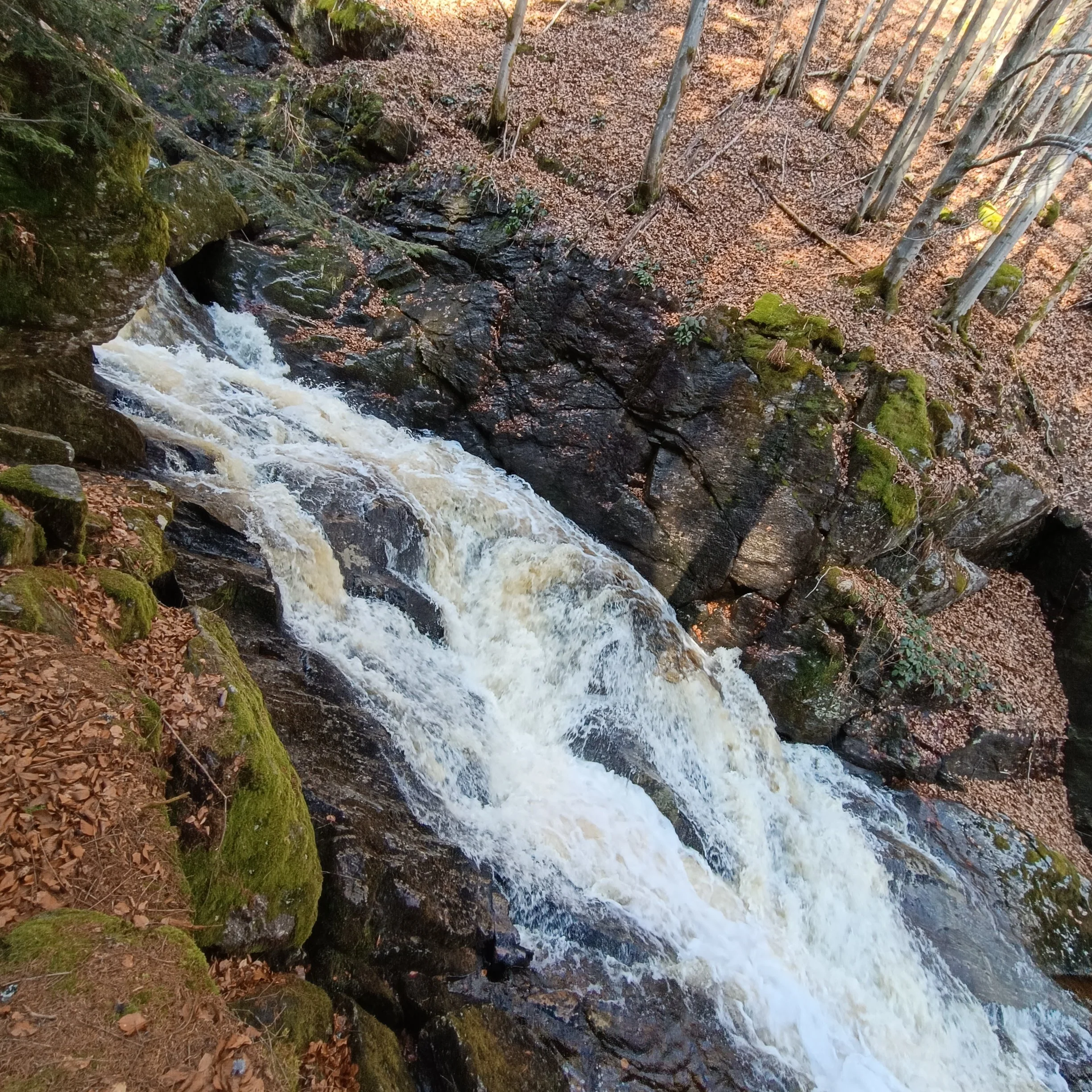 IMG_20260405_152424.jpg