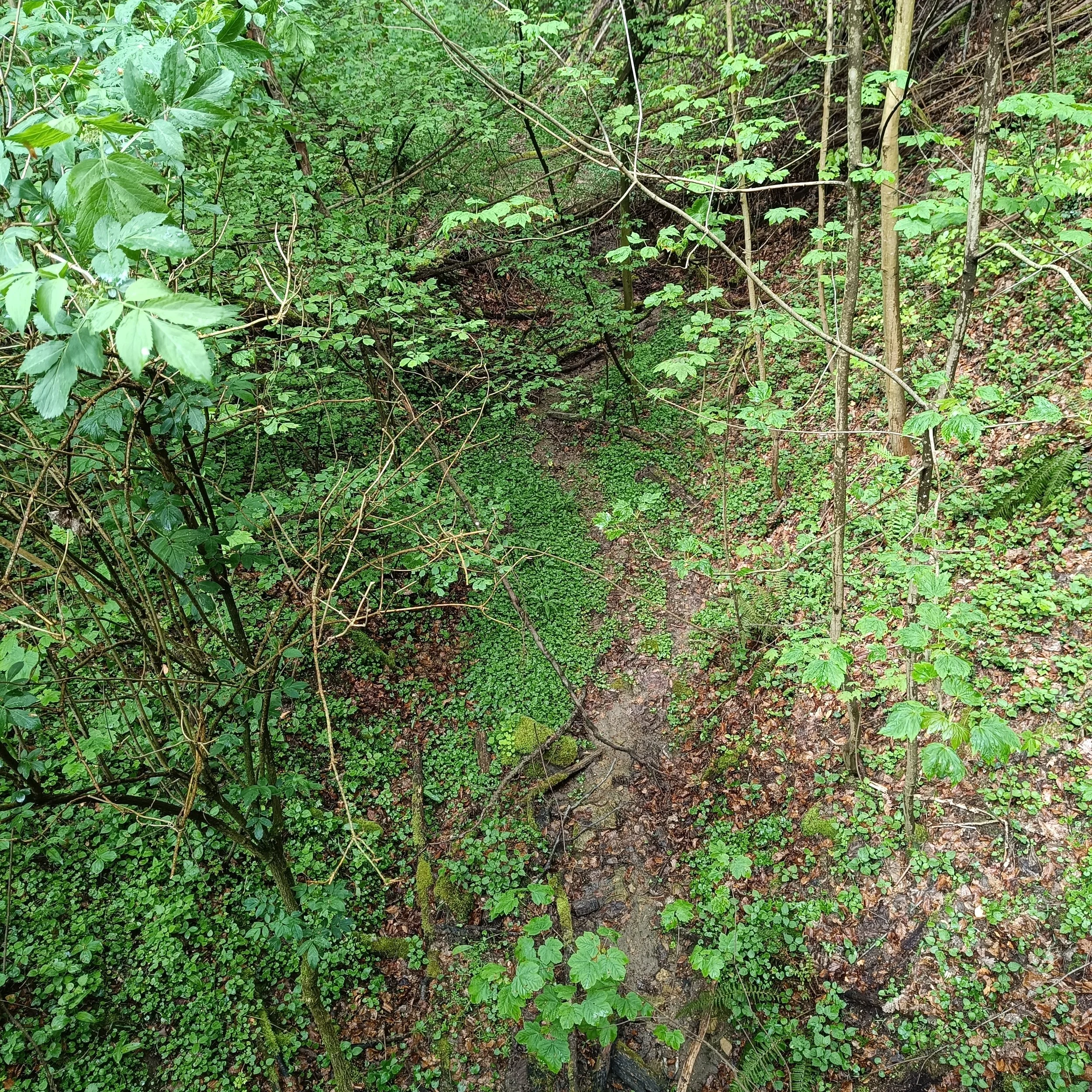IMG_20260419_134205.jpg