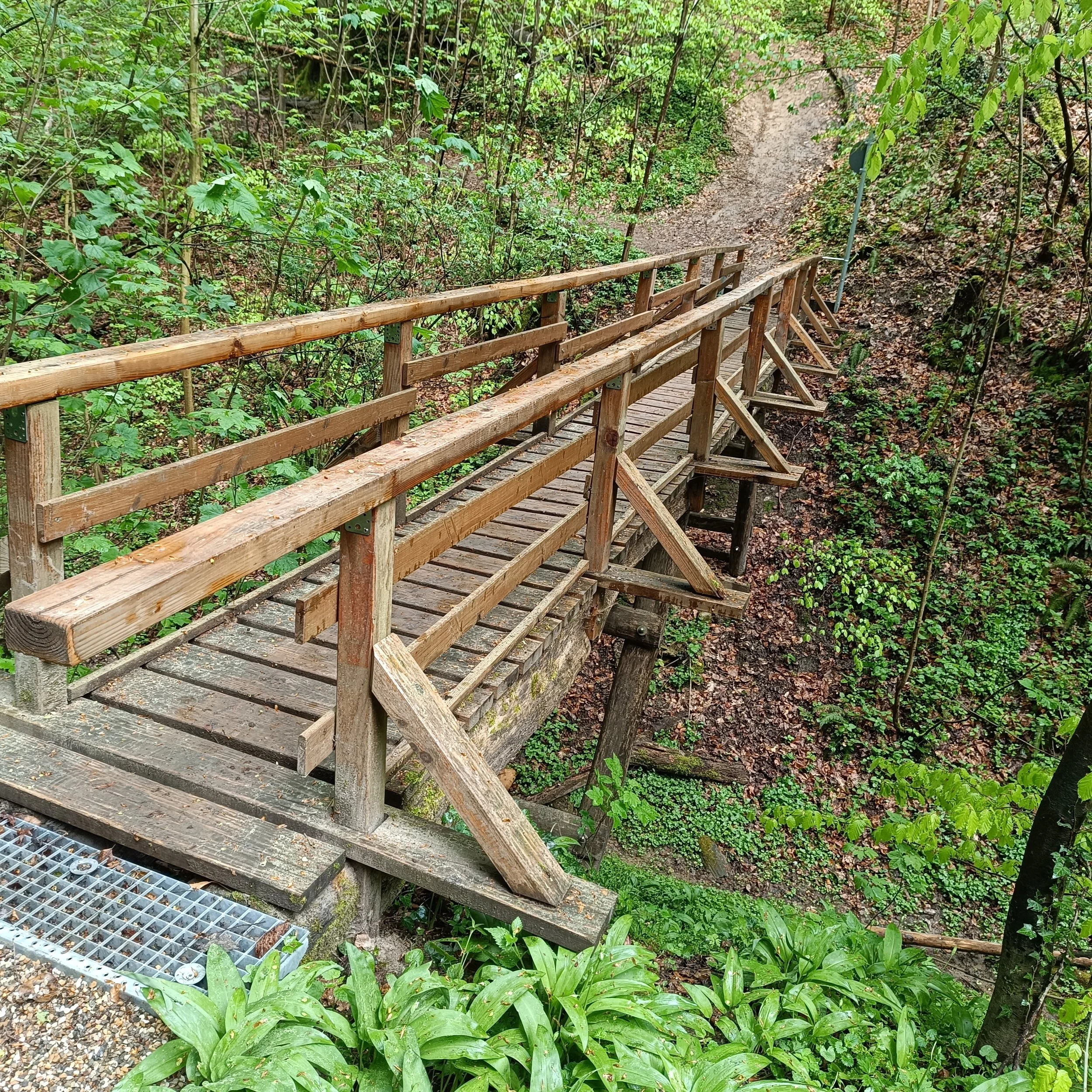 🆕Tagestour für “Singles and Friends”: Hinein in die Ungeheuerklamm und hinauf auf den Michaelsberg mit Martin 