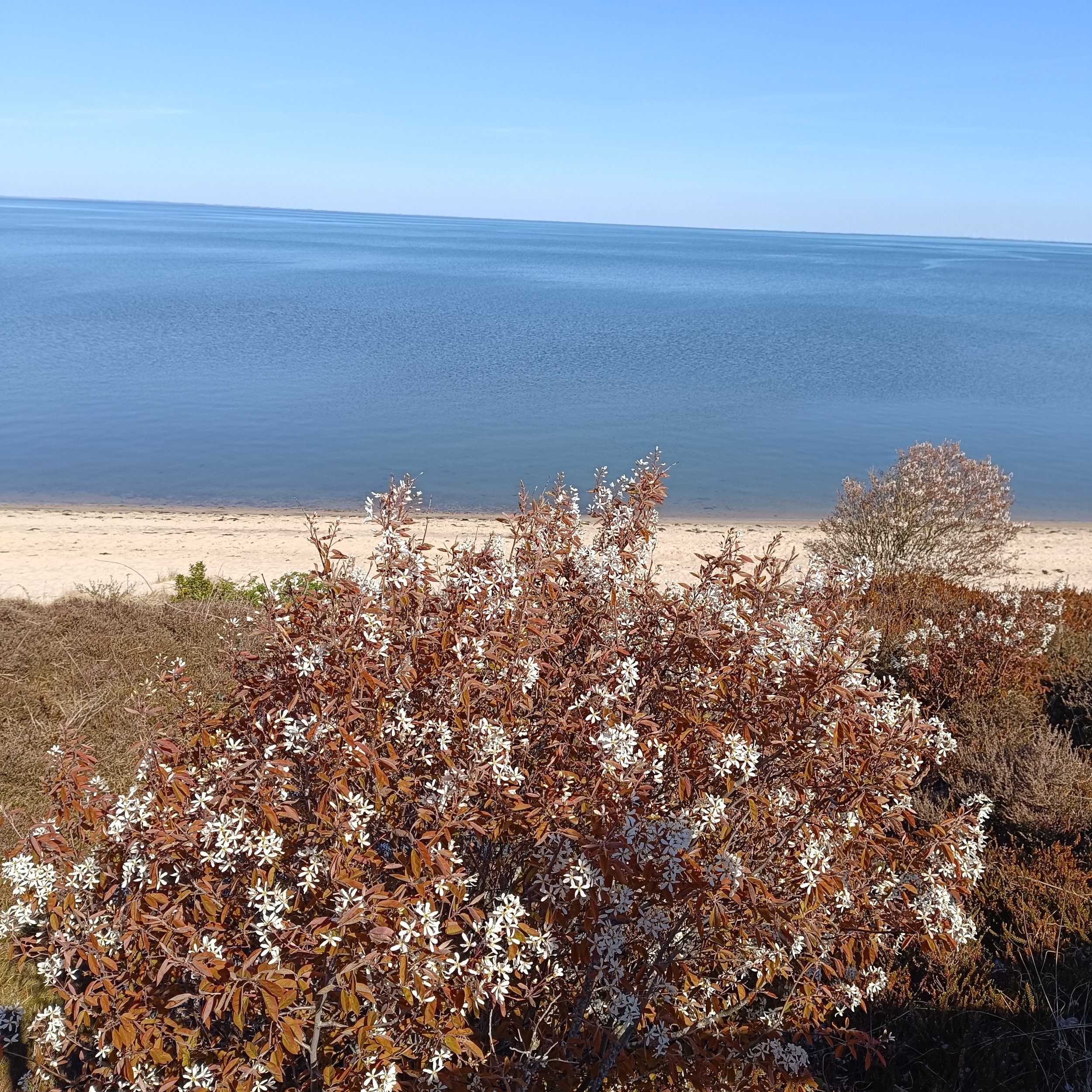 IMG_20260430_160736.jpg