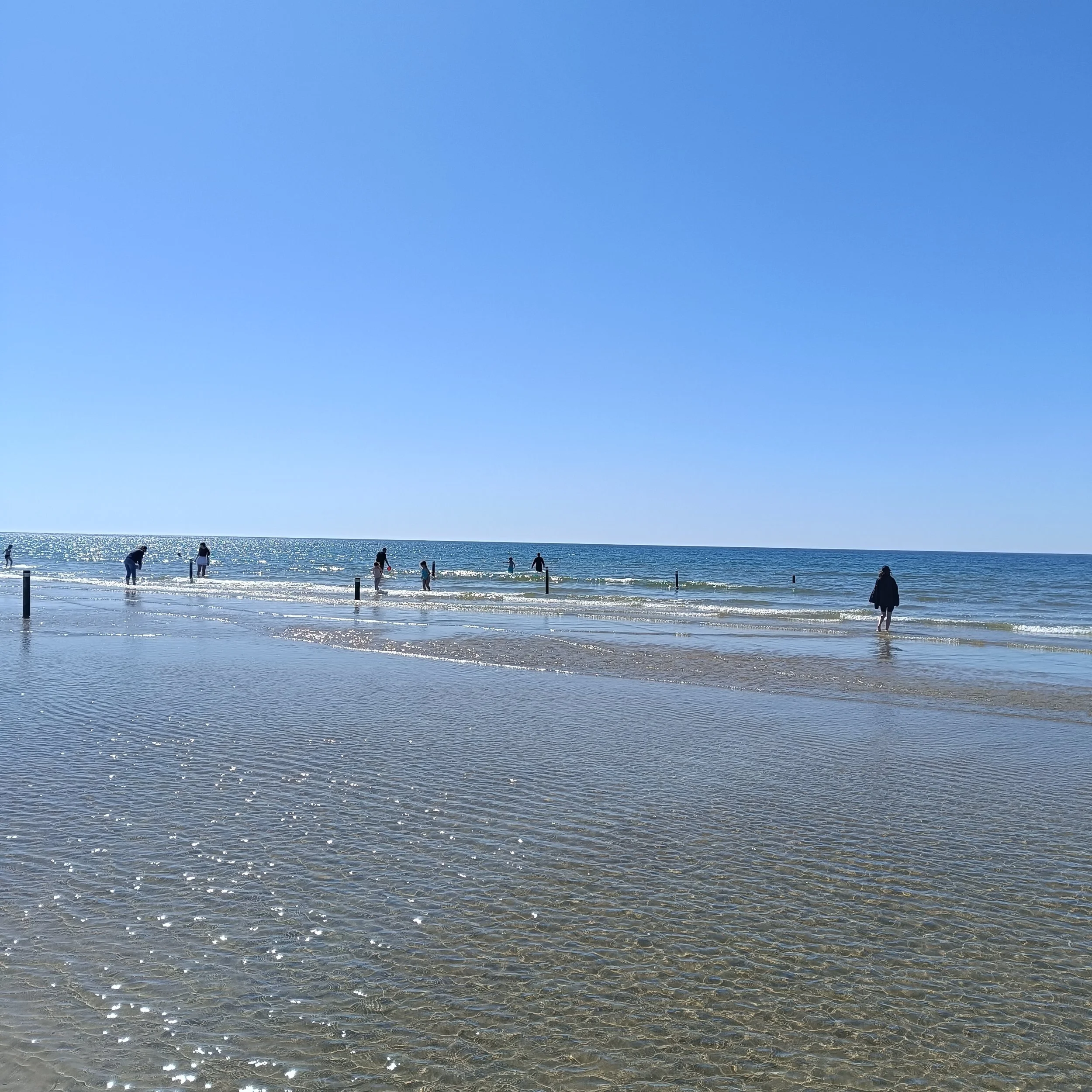 IMG_20260501_145146.jpg