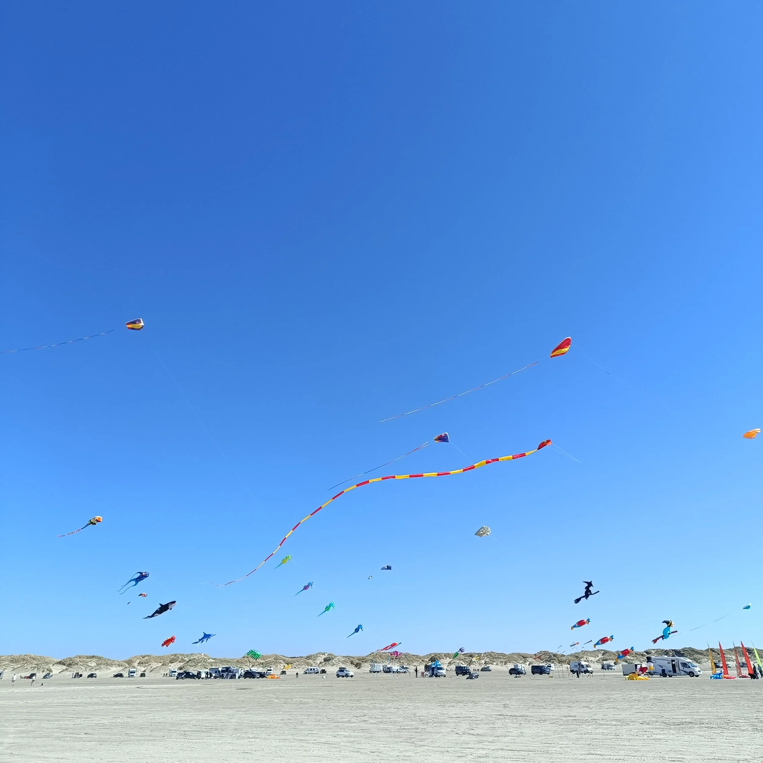 IMG_20260501_150124.jpg