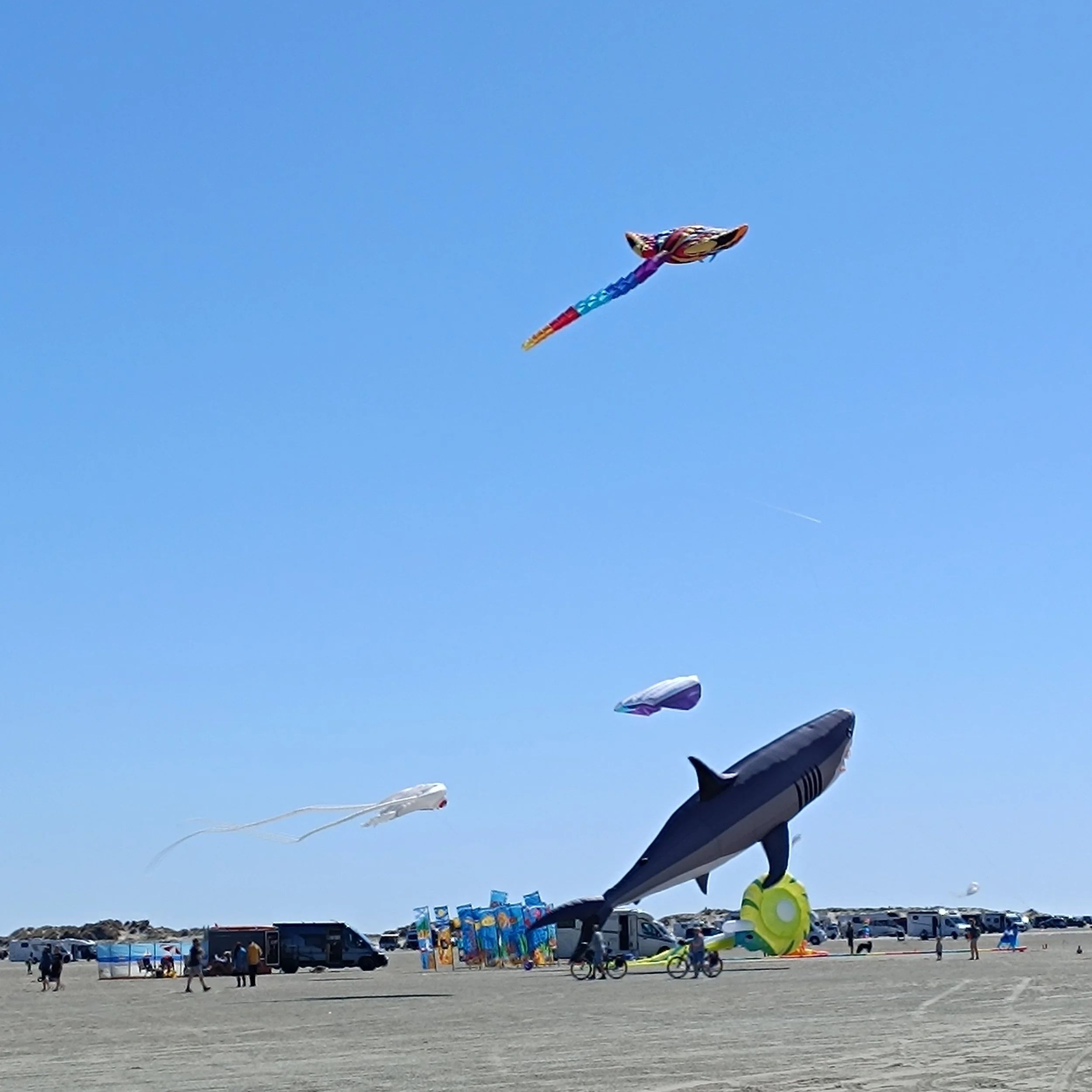 IMG_20260501_150137.jpg