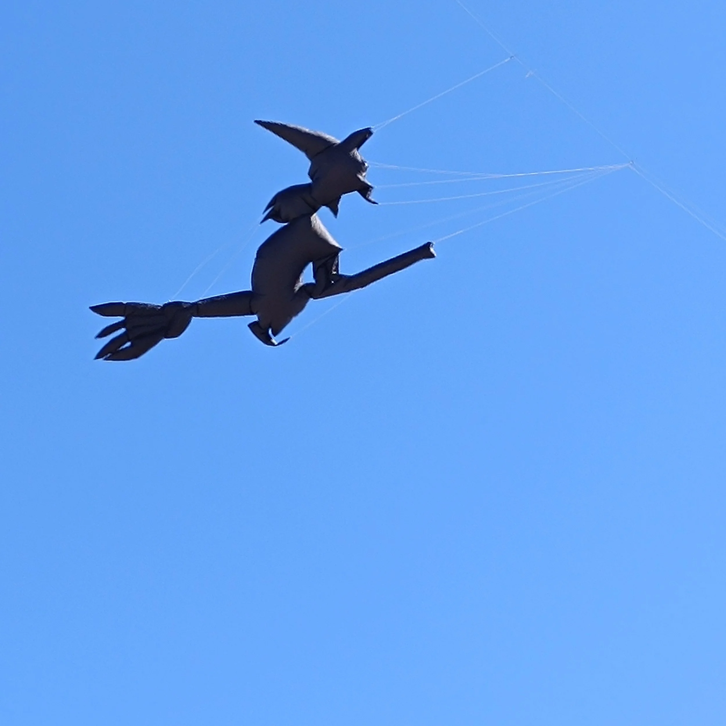 IMG_20260501_150303.jpg